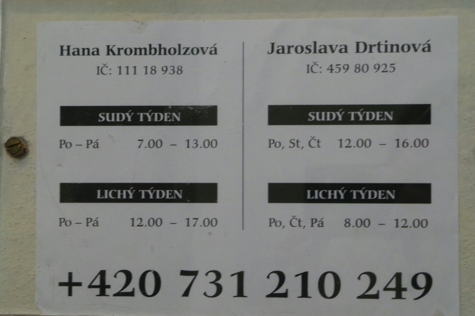 Hana Krombholzová foto 2