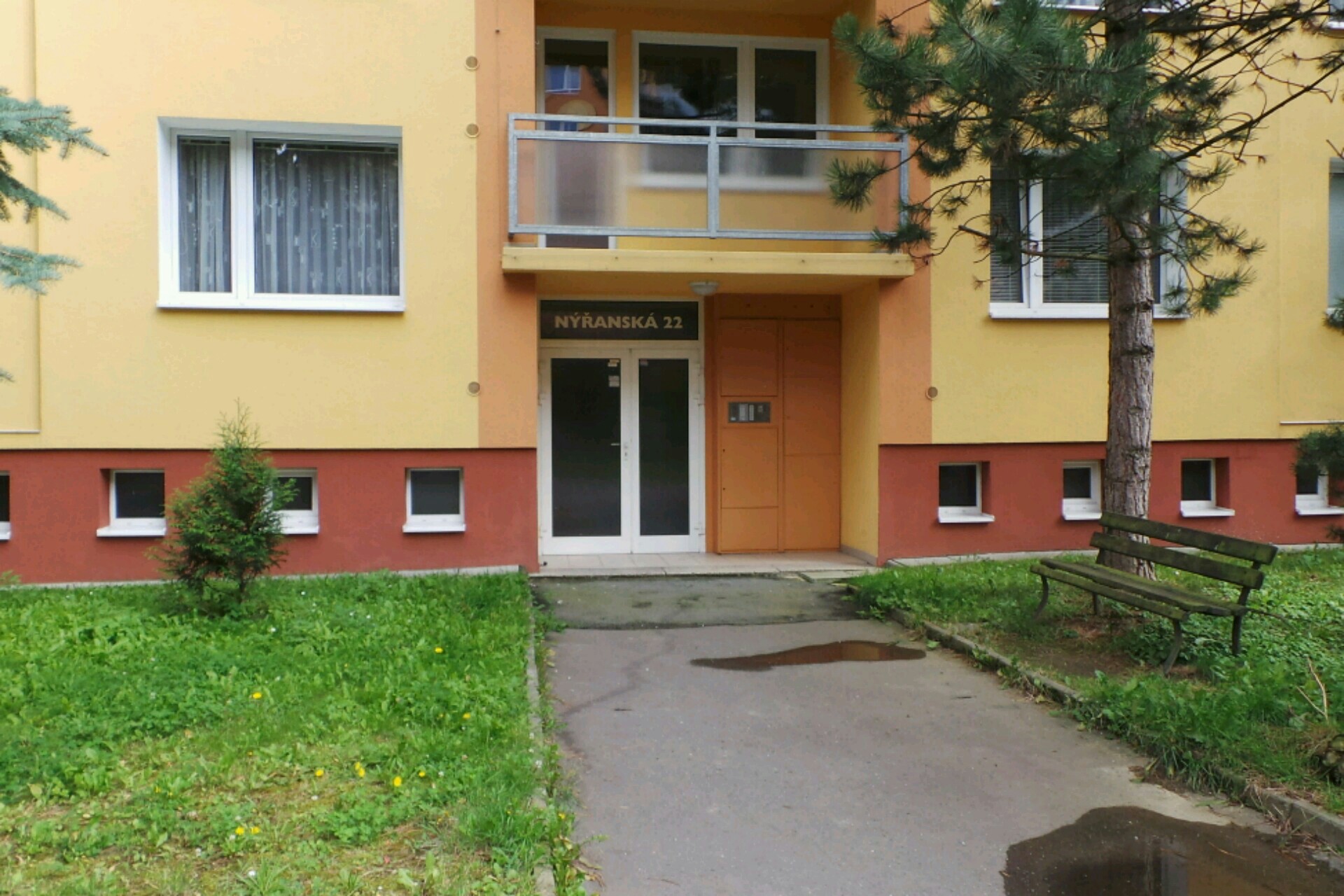 PaedDr. Eva Dmitrišinová