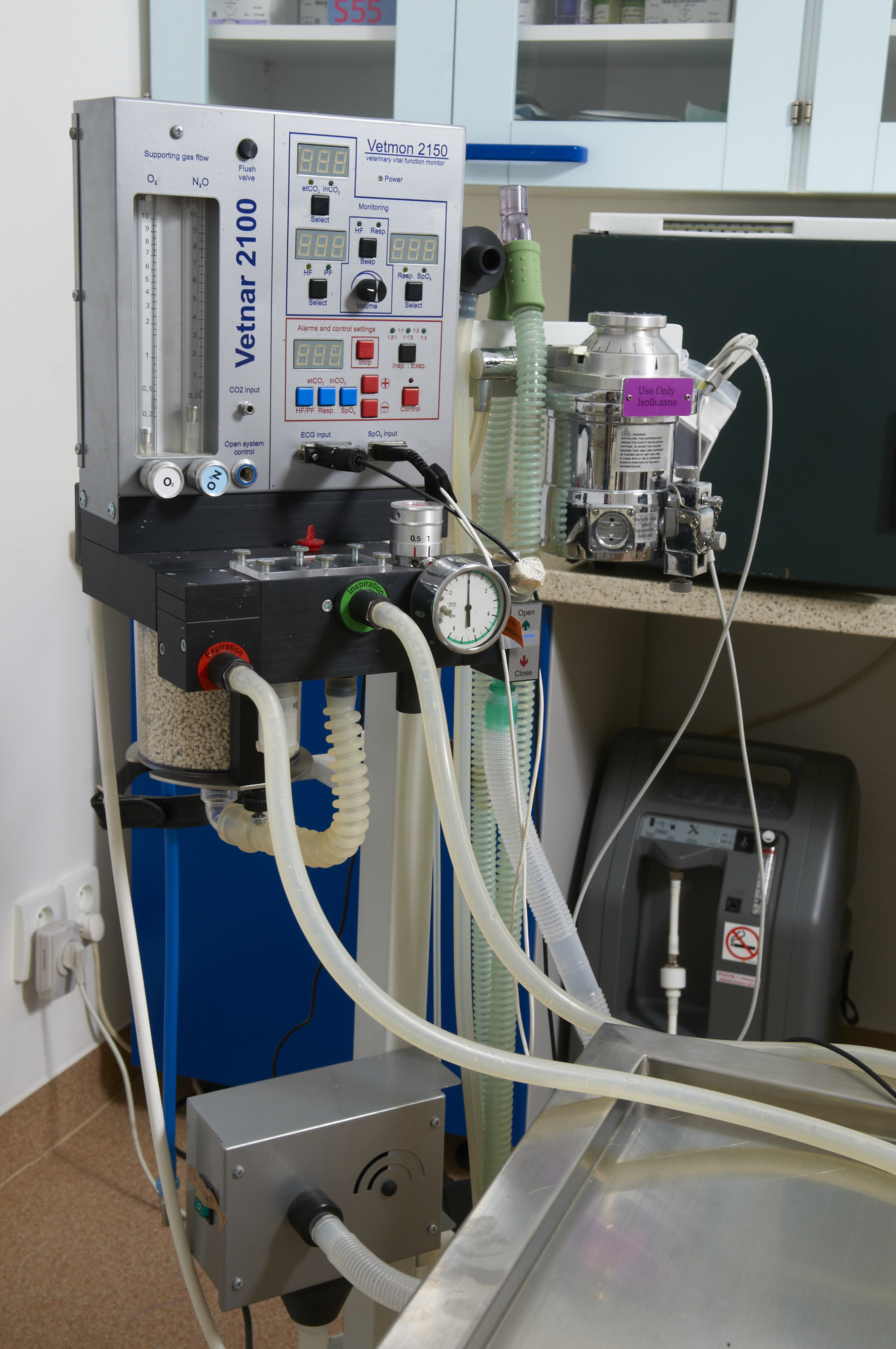 Veterinární klinika Michle - MVDr. David Jíra foto 4