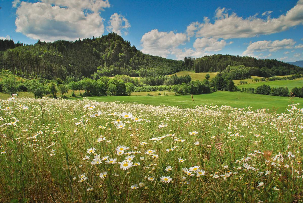 Penzion Ilma foto 2