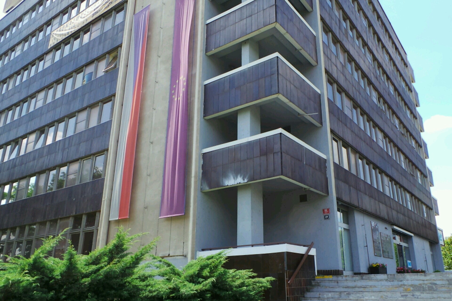 Český institut pro integraci EU