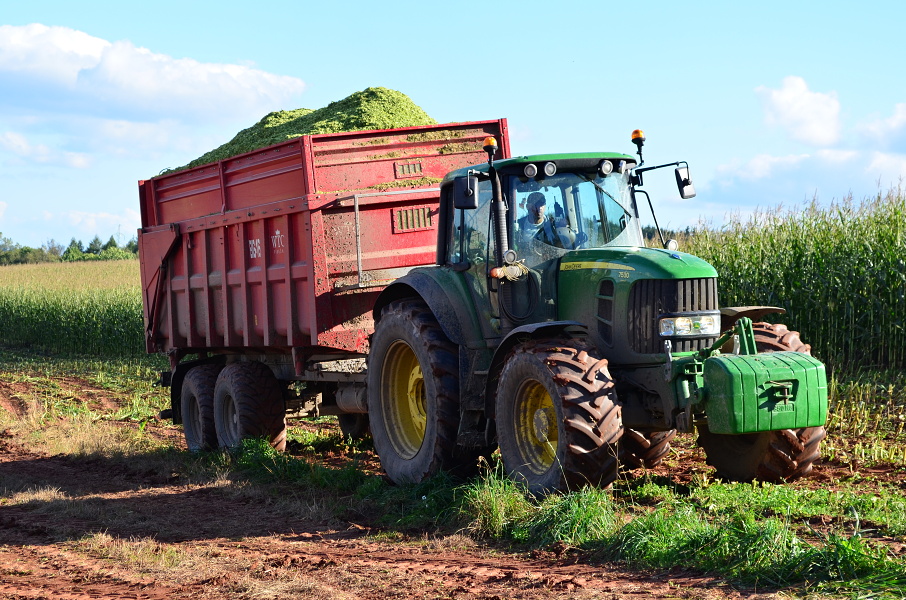 DS Agro Košťálov, s.r.o. foto 5