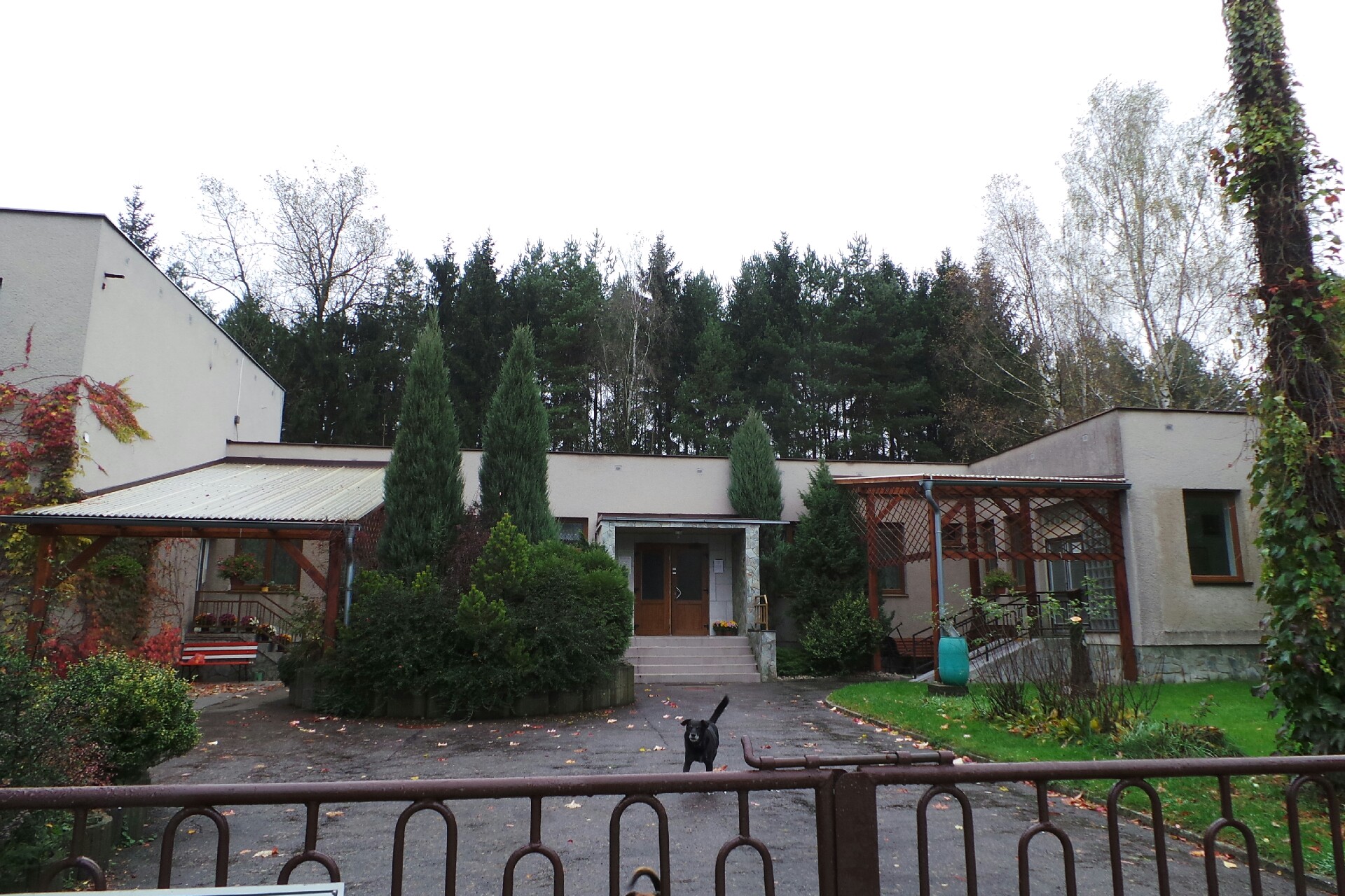 MUDr. Tomáš Mertlík