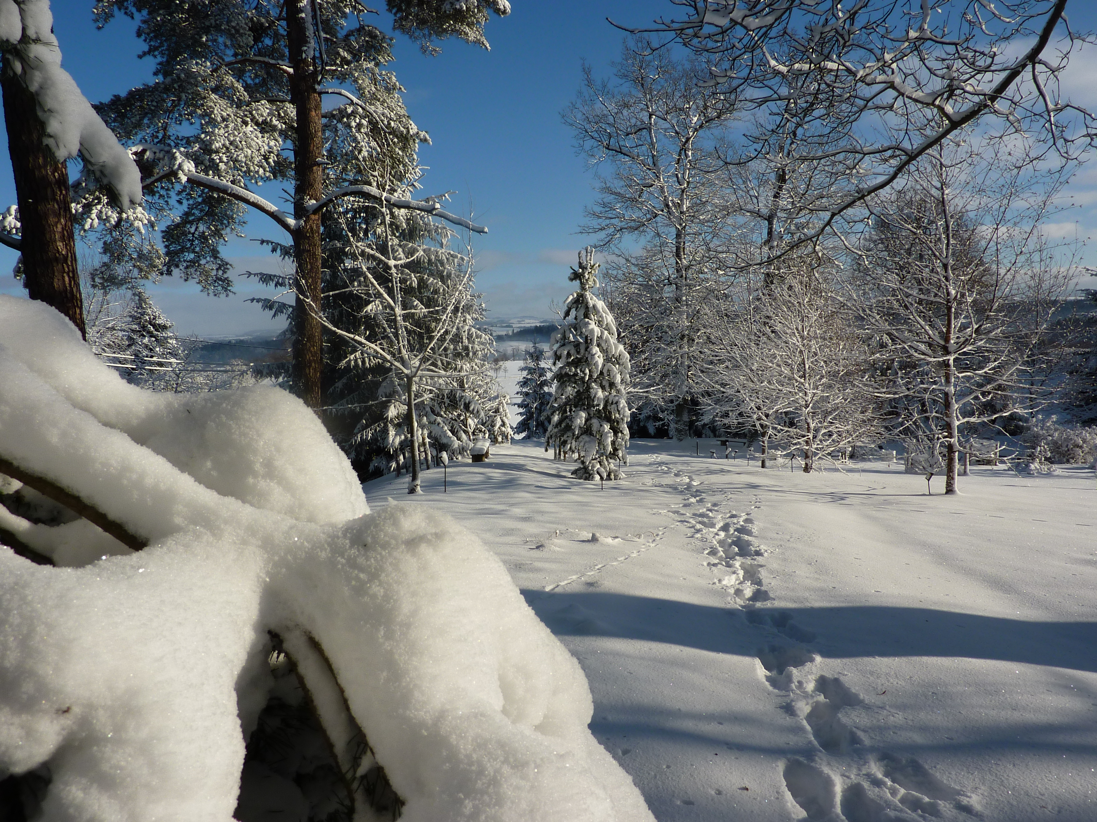 Domov pod hradem Žampach foto 5
