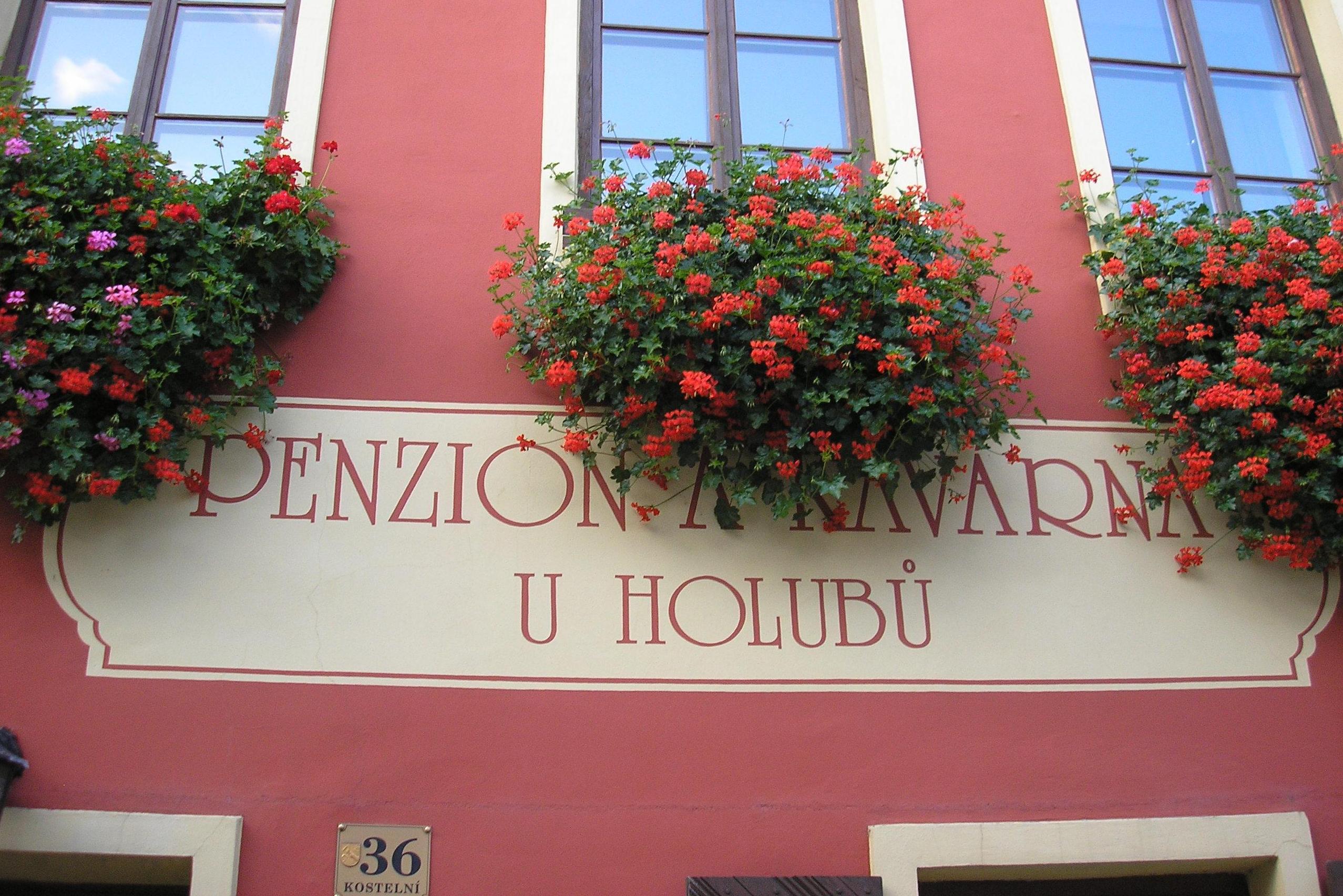 Penzion U Holubů Nový Jičín foto 6
