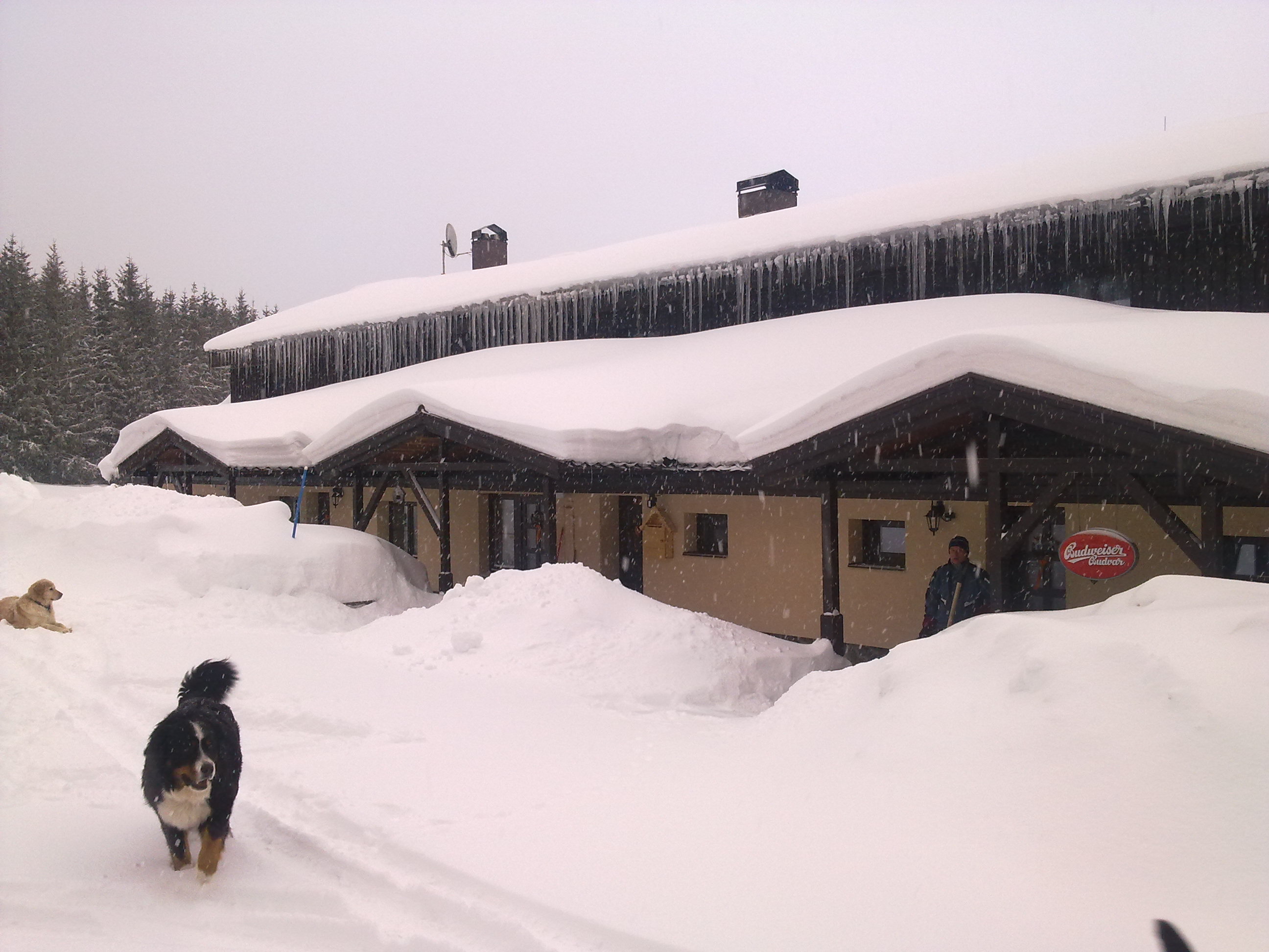 Pension Hones foto 4