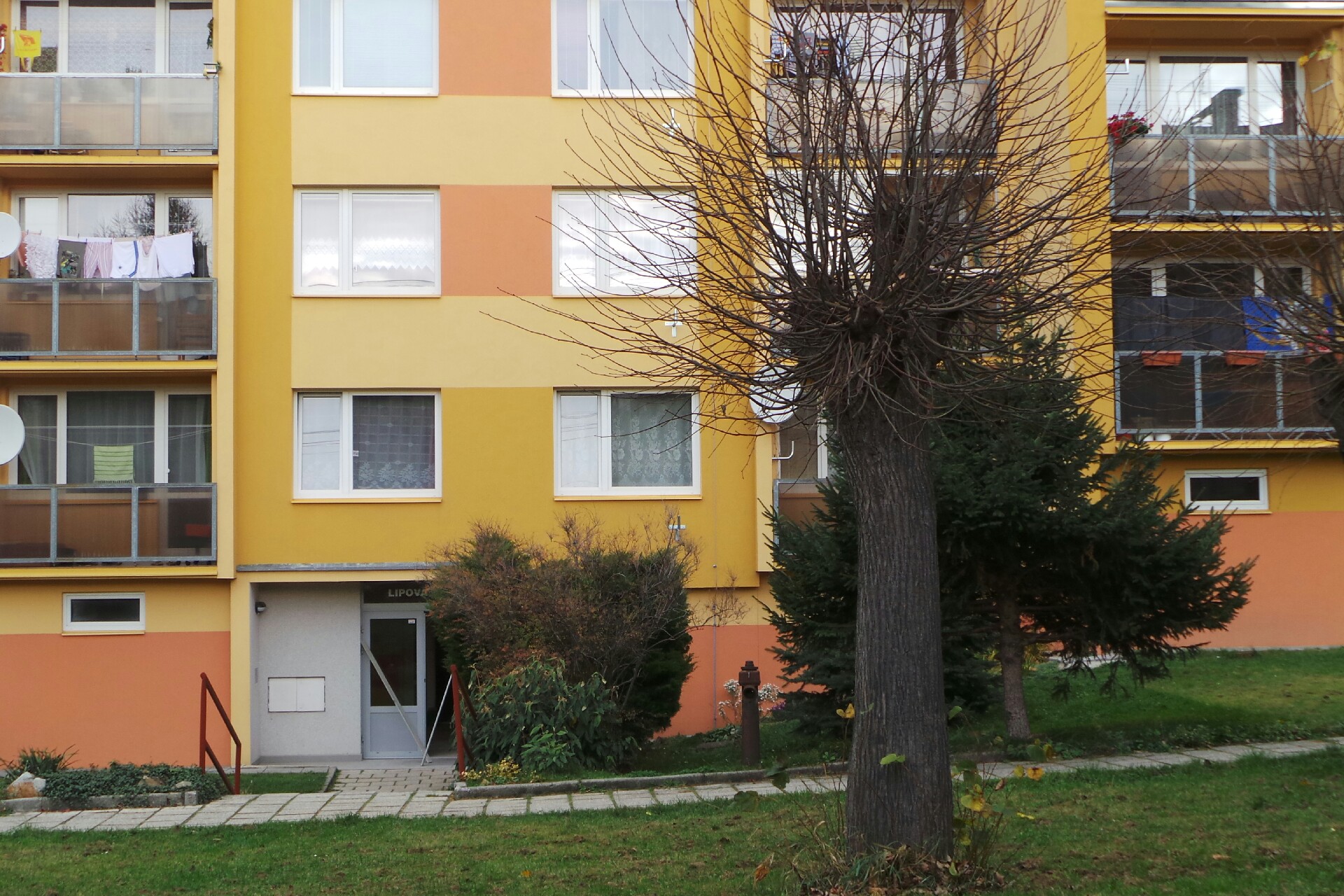 Radoslav Syrůček foto 2