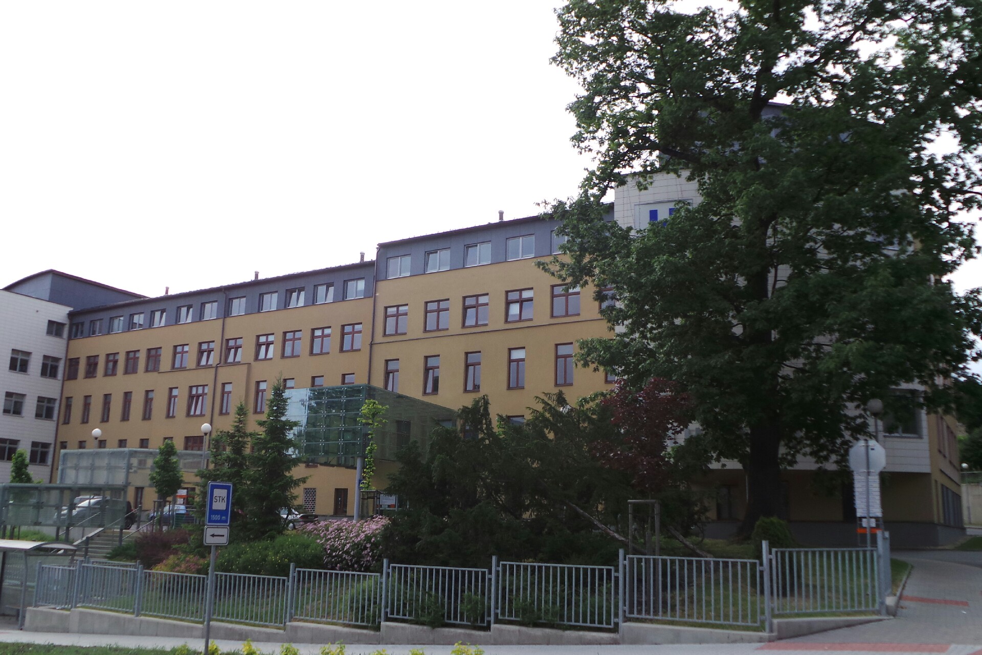 Revmatologická ambulance - Nemocnice Pelhřimov