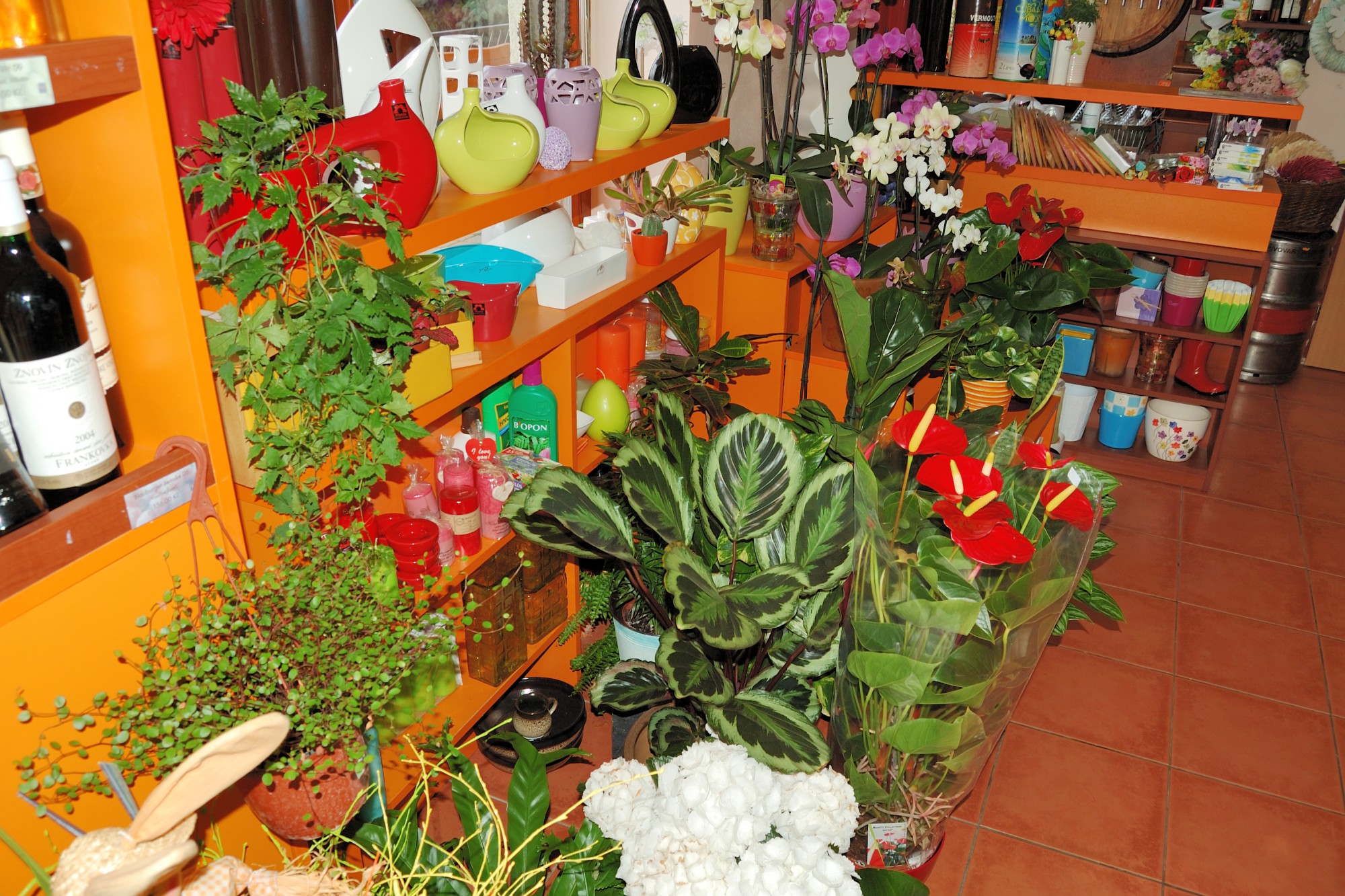 Vinotéka a květiny Velká Bíteš foto 2