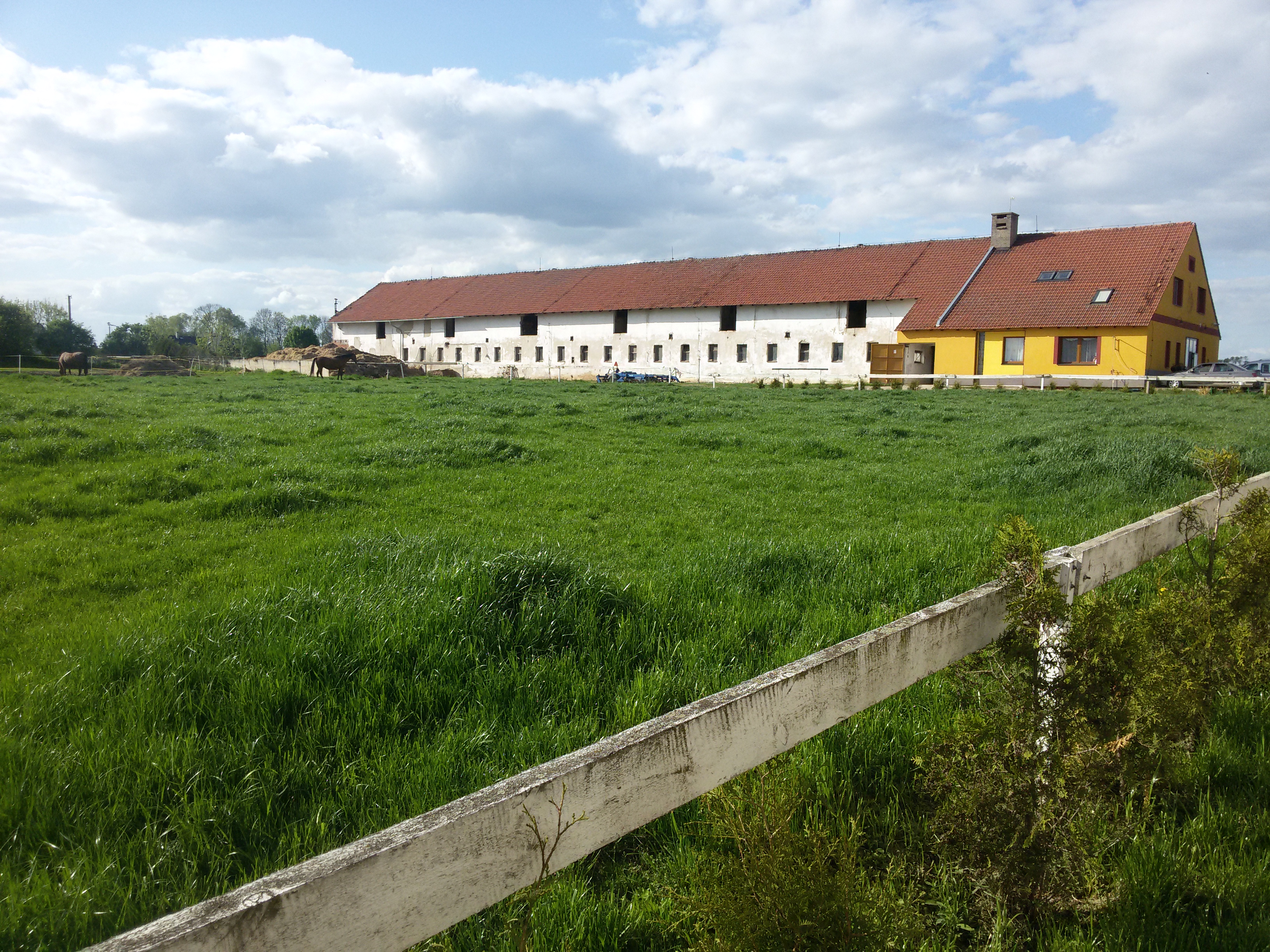 Stáj Tamare foto 2