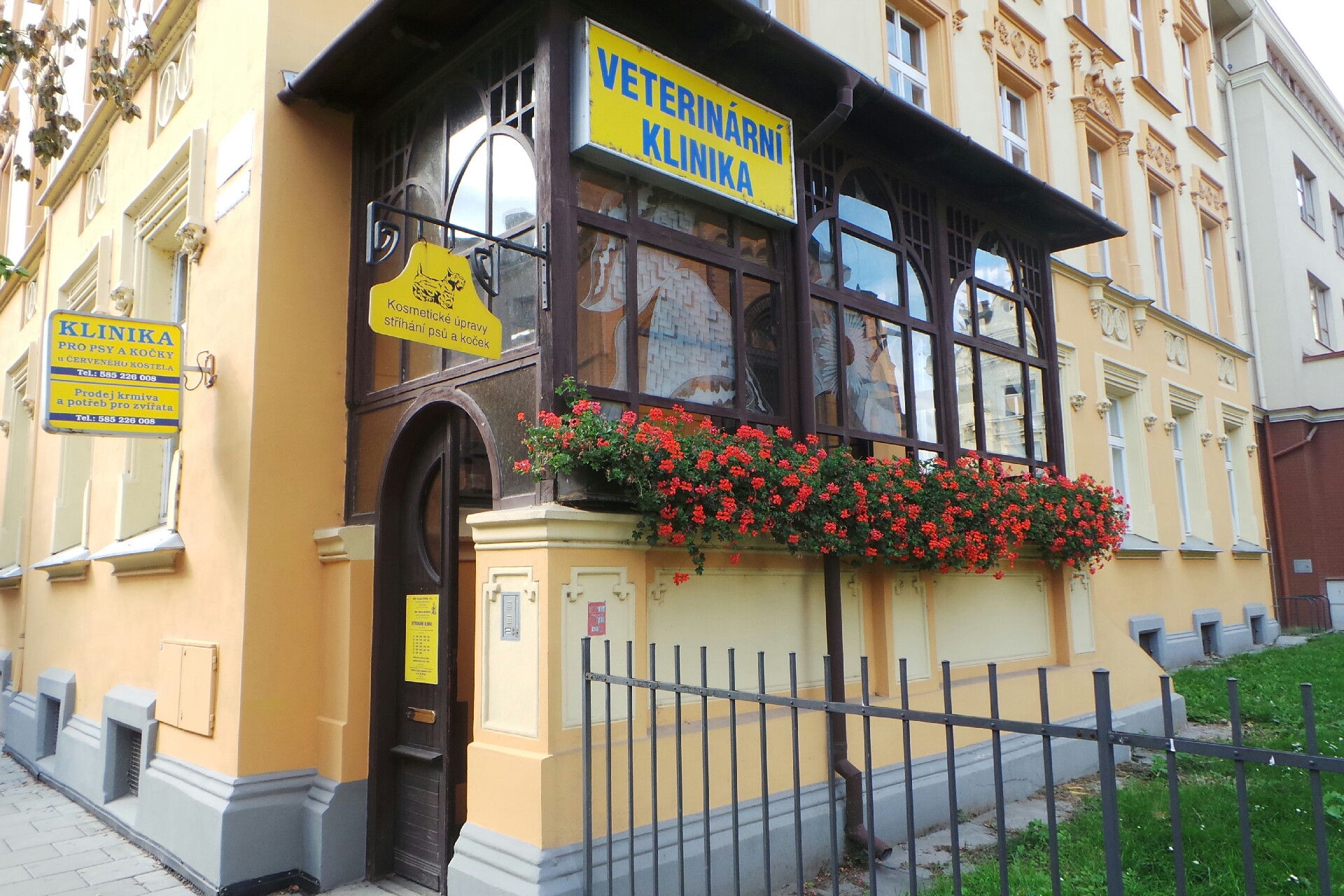 MVDr. Martina Koláčková