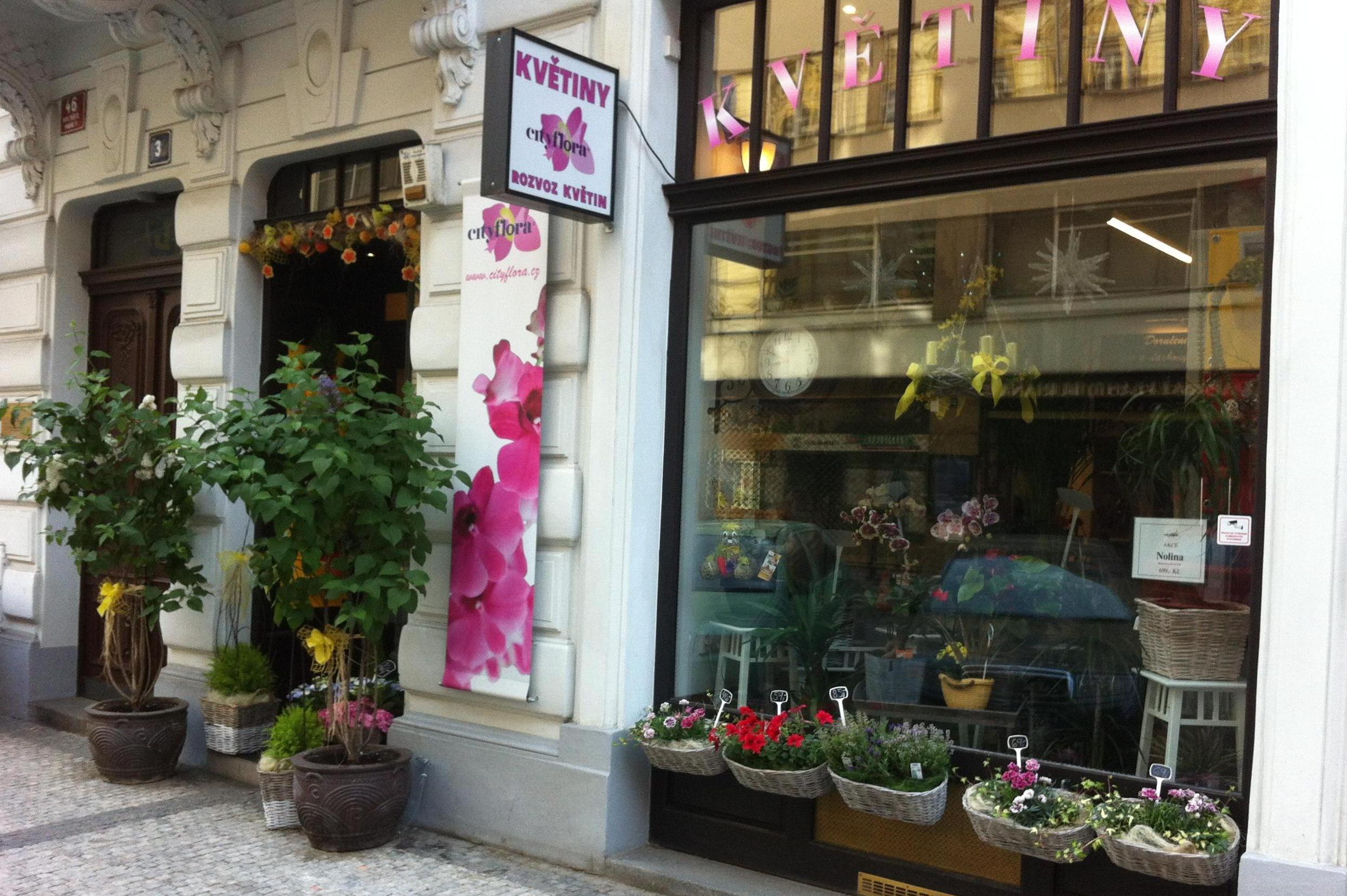 Online květiny Jana