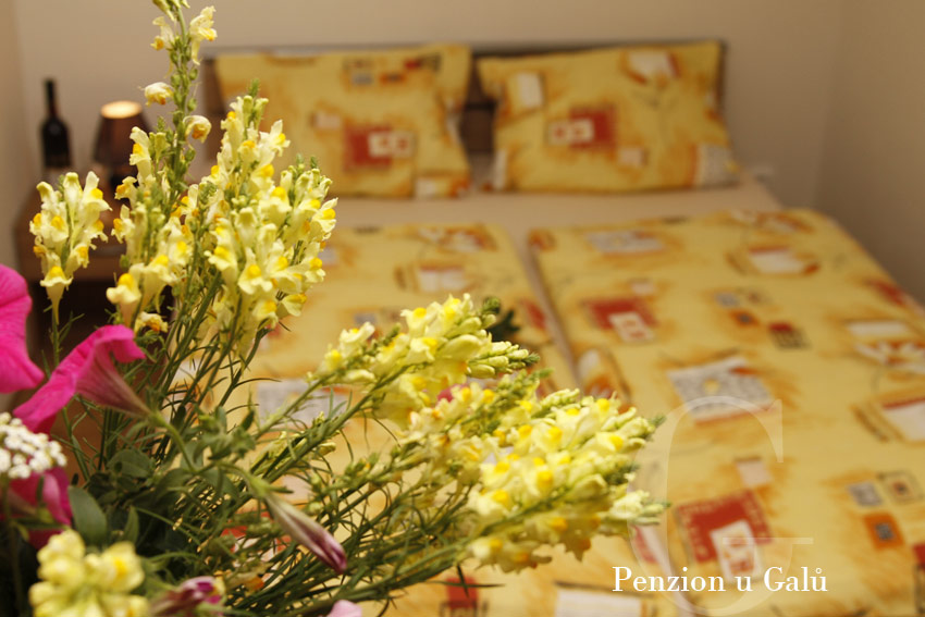 Penzion U Galů foto 3