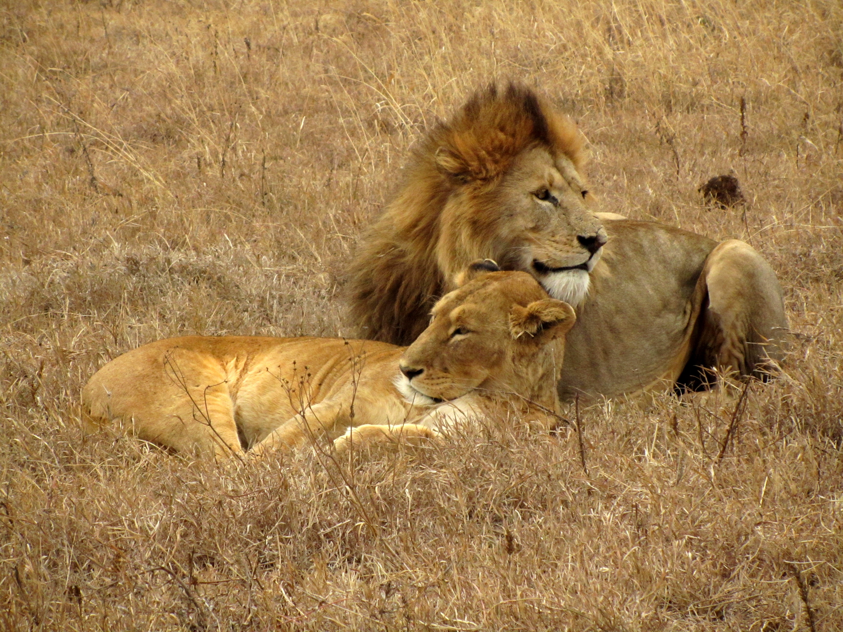 Enjoy Travel, cestovní kancelář foto 3