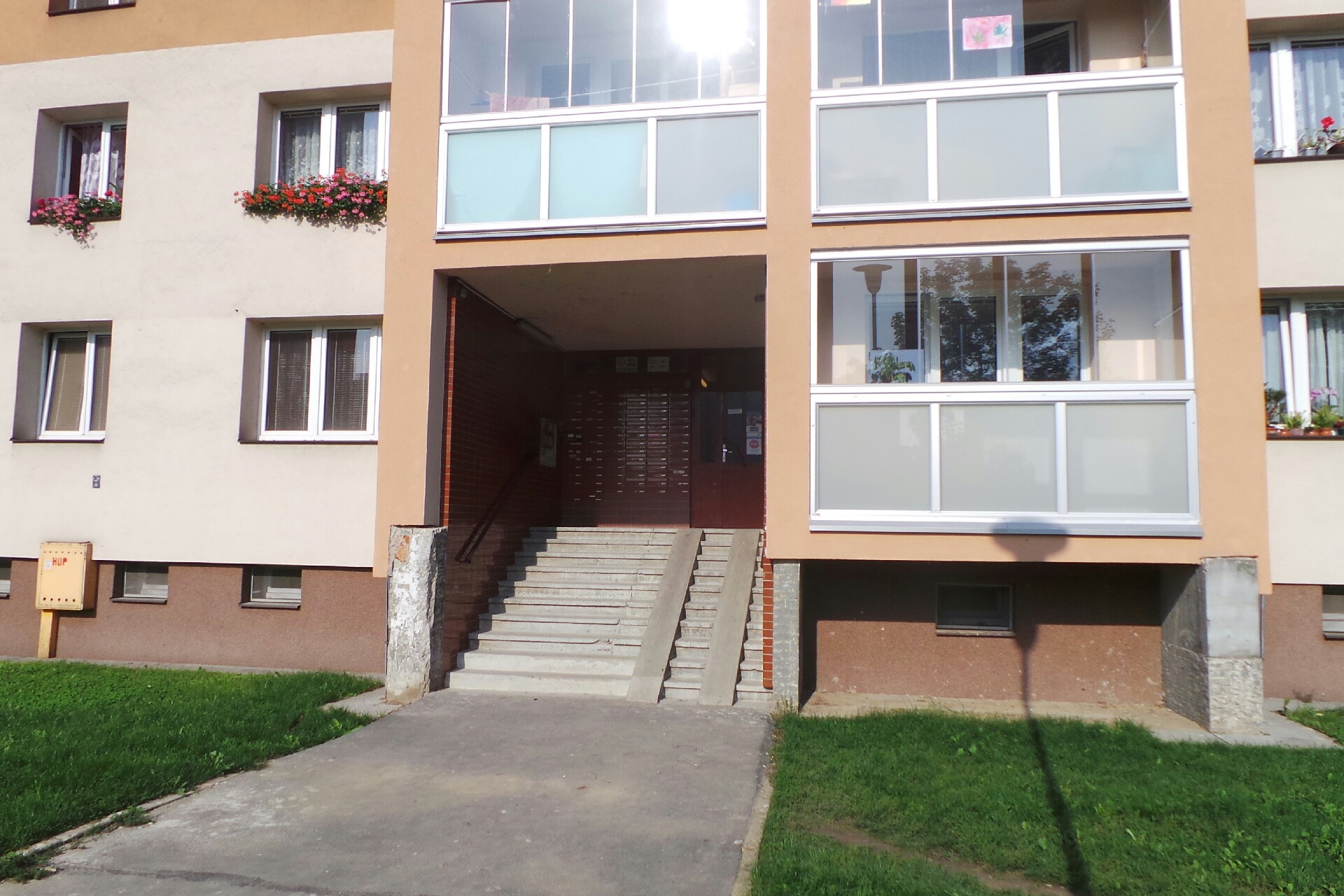 Dominika Dittrichová