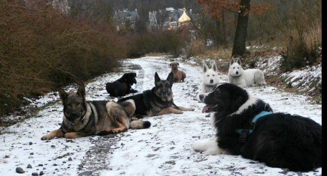 Pavlína Málková foto 1