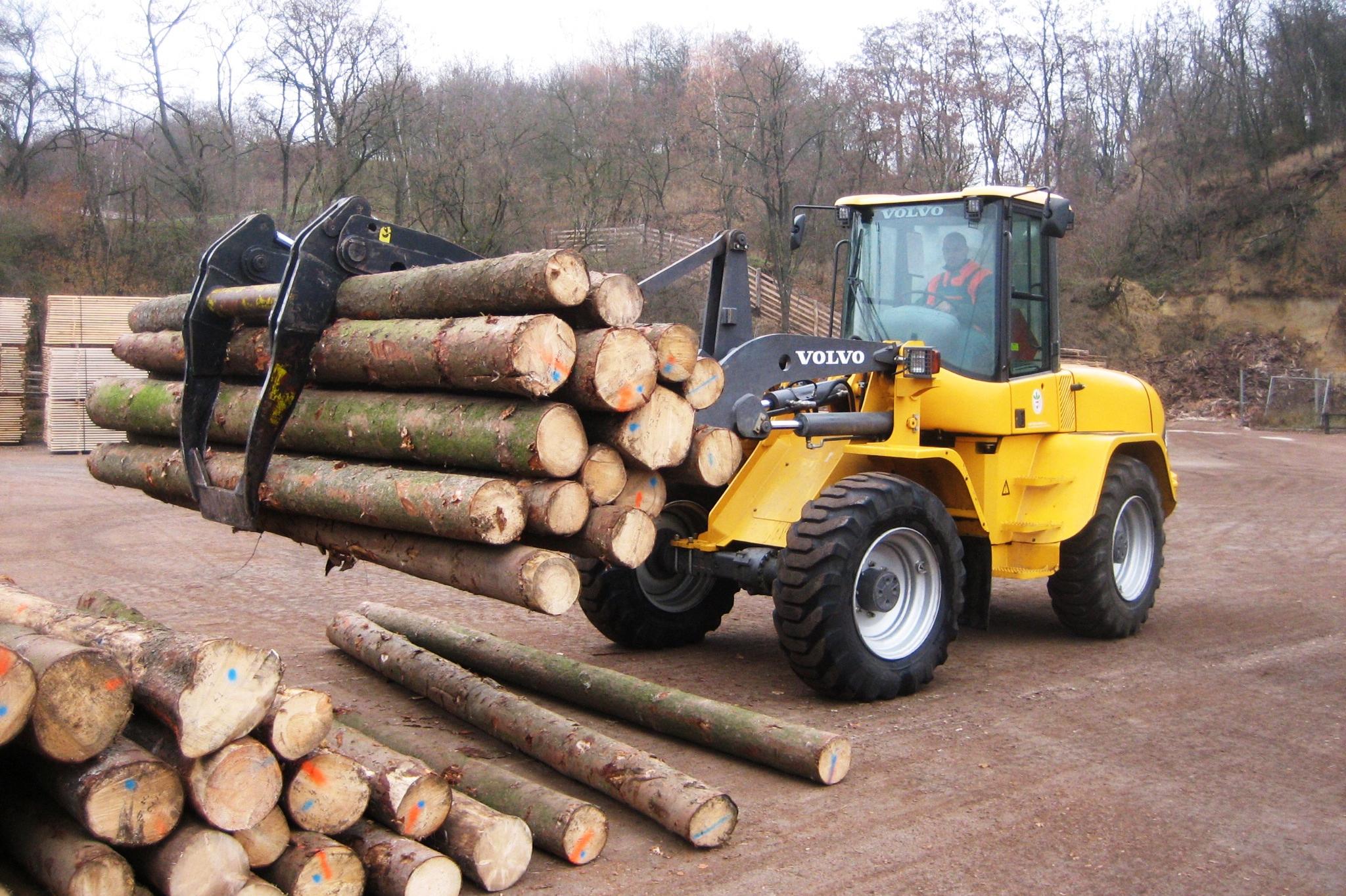 Lesy města Brna, a.s.