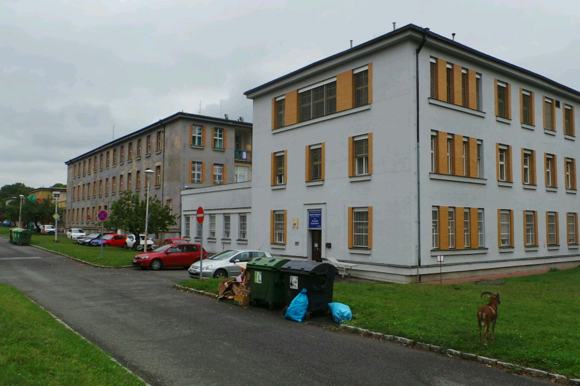 Stomatologické oddělení - Thomayerova nemocnice foto 1