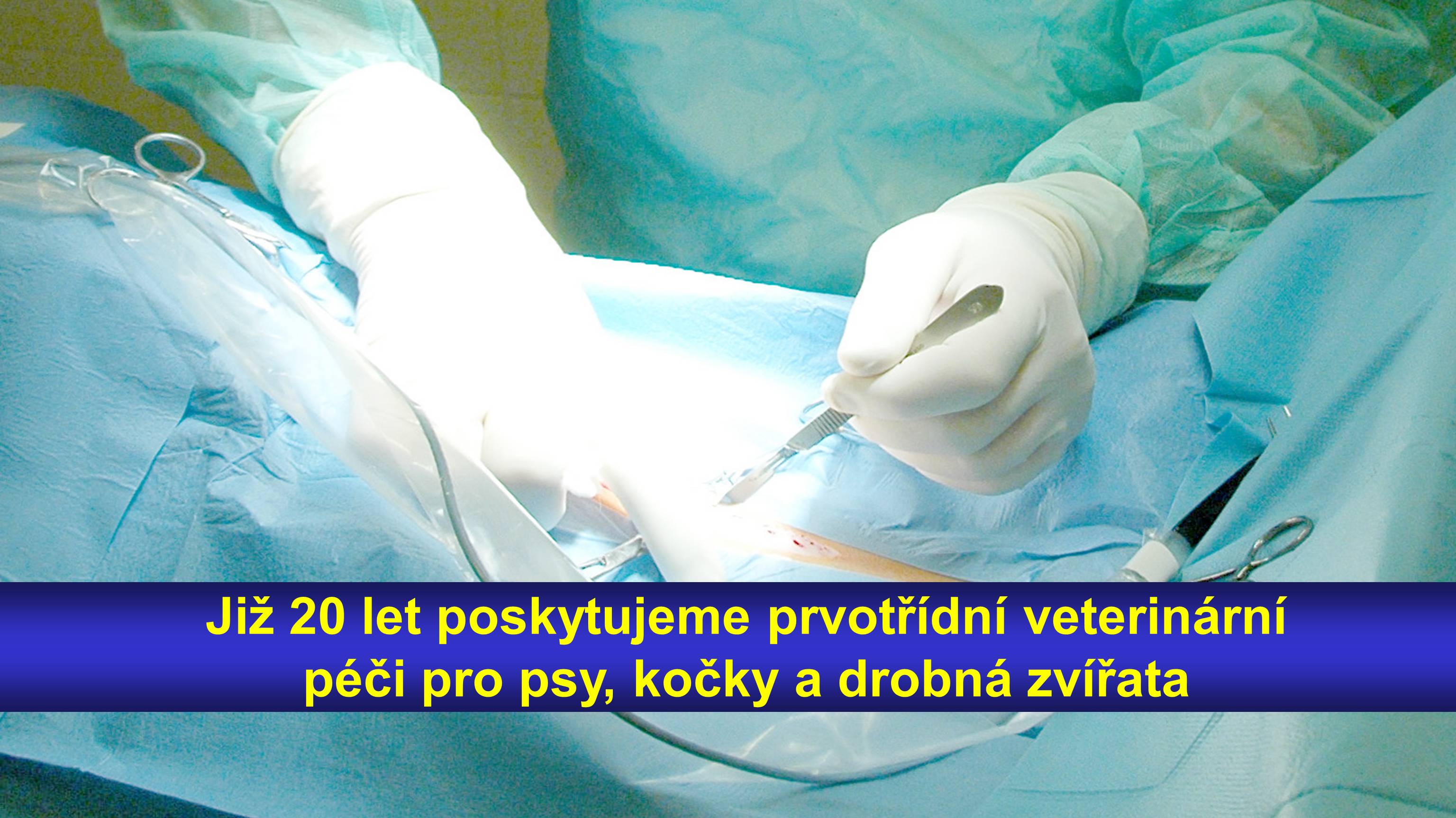 Veterinární klinika Klánovice foto 3