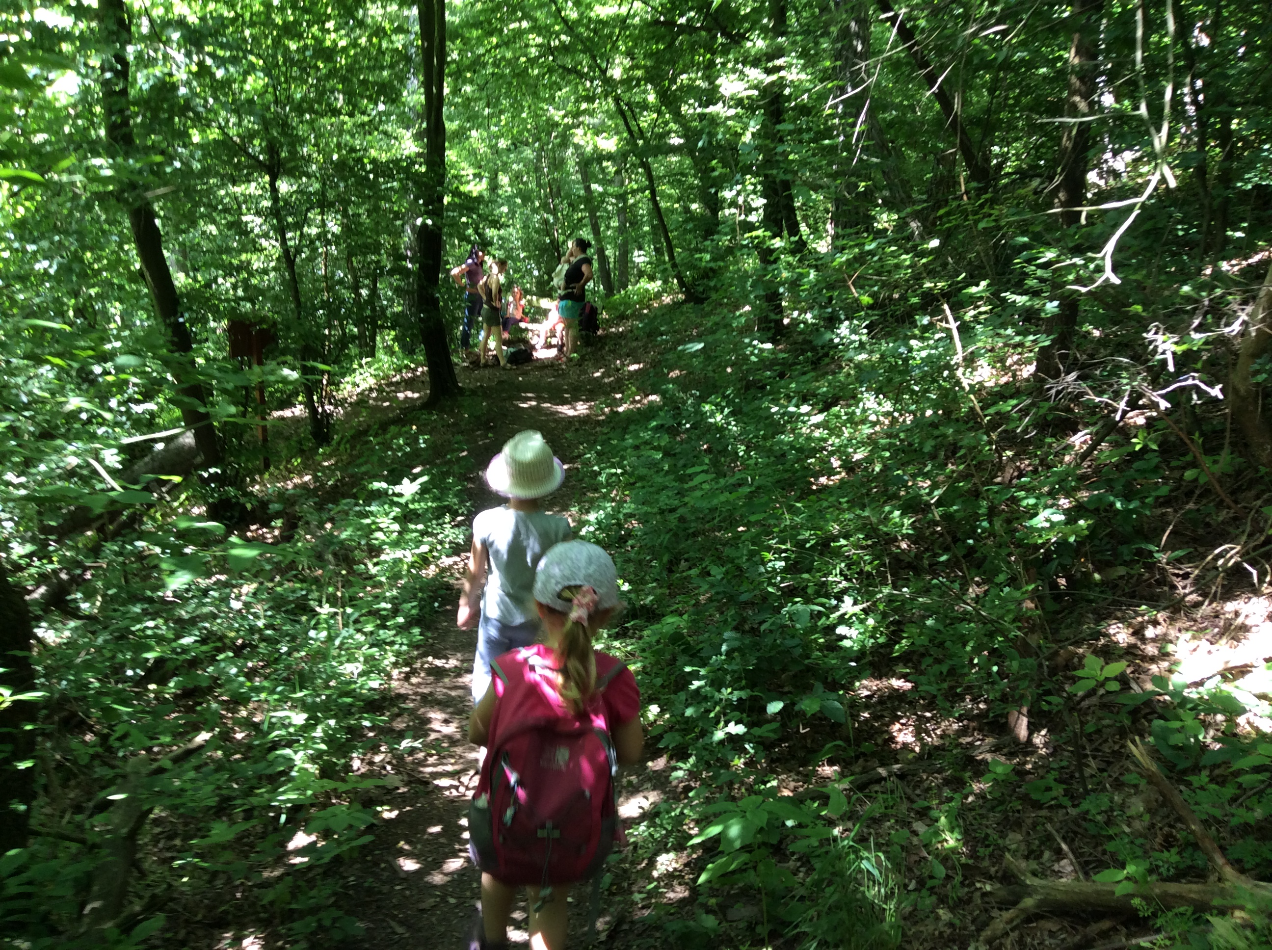 Lesní mateřská škola Studánka foto 3