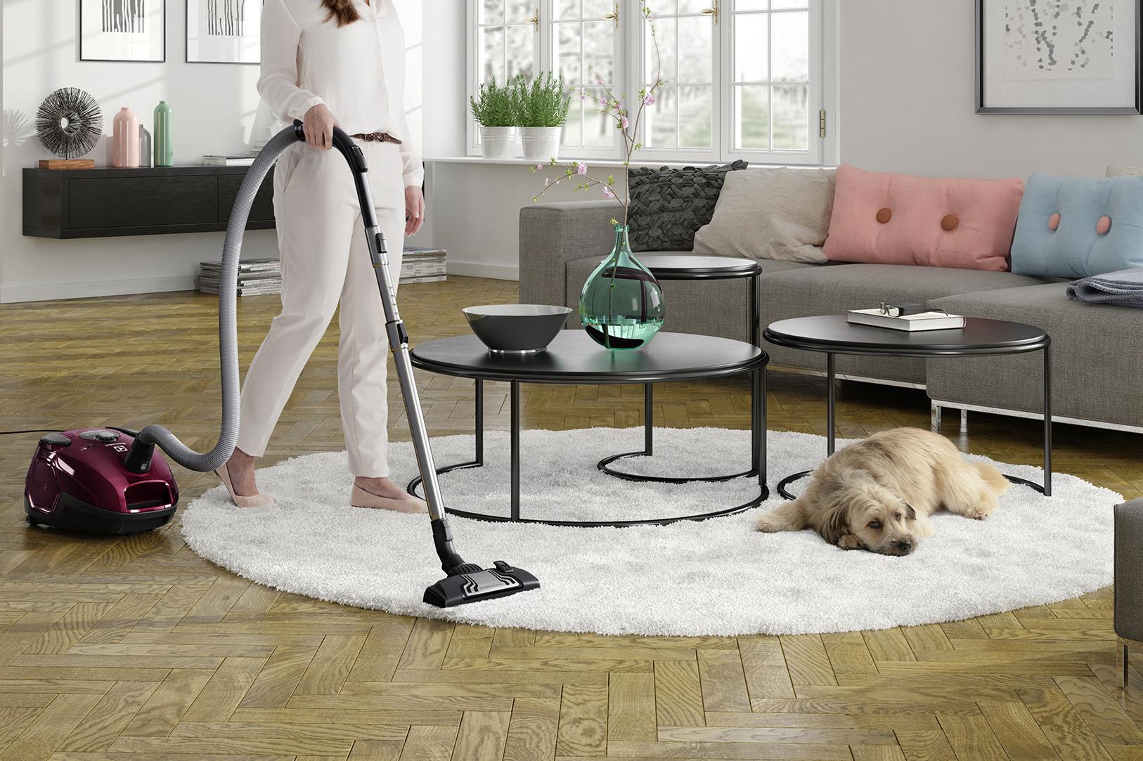 Hestia Cleaning - úklidové služby