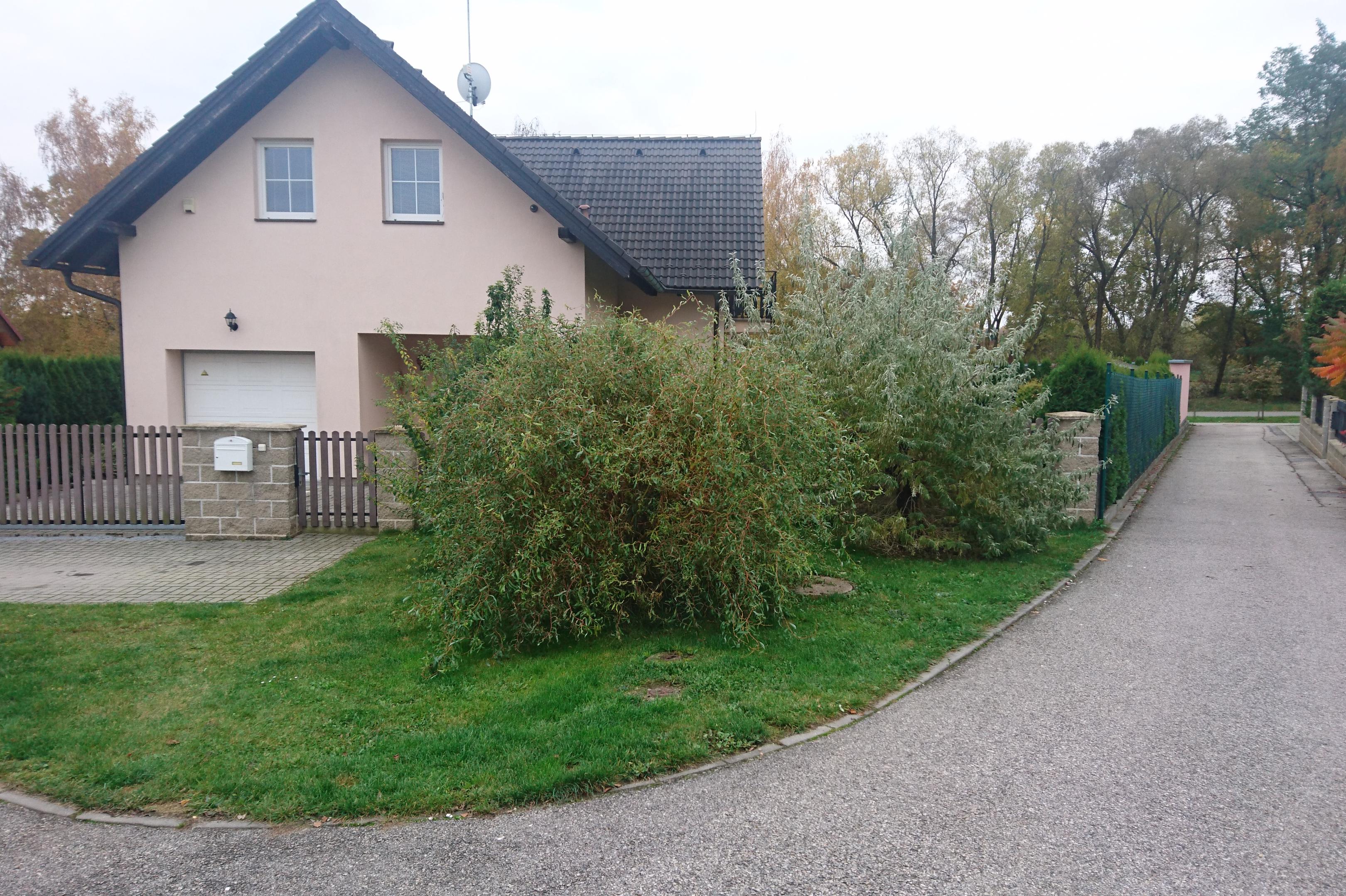 Účetnictví ABC s.r.o.