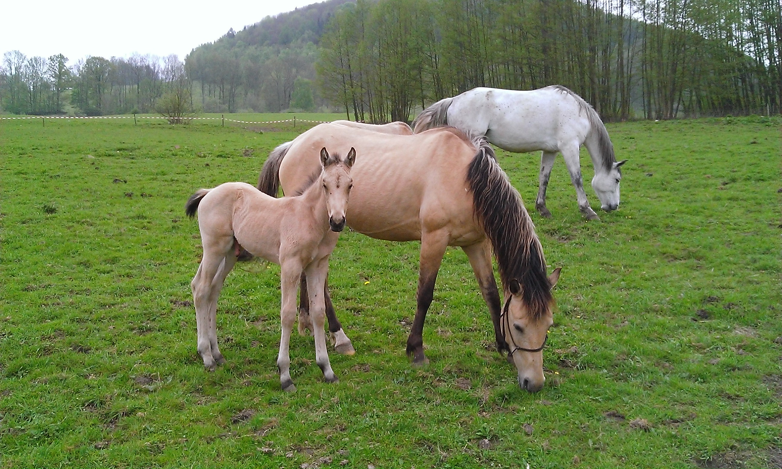 Farma U sluníček, s.r.o. foto 4