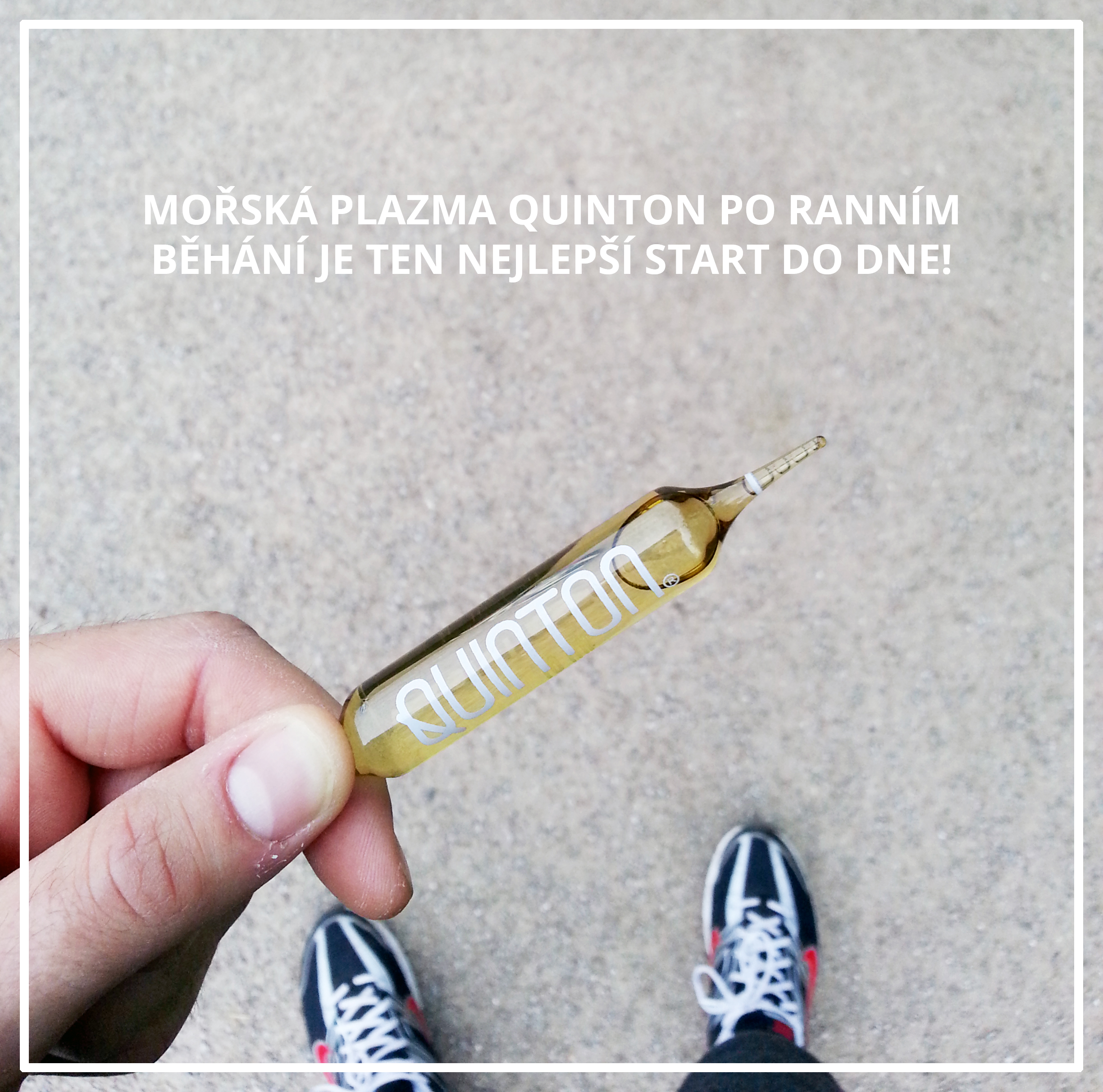 Quinton.cz foto 5