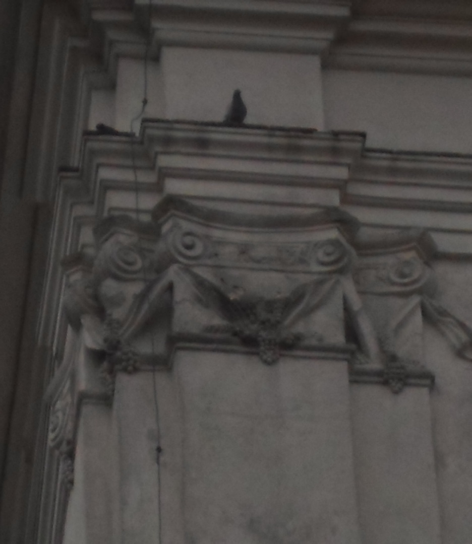 Dalibor Mergl foto 3