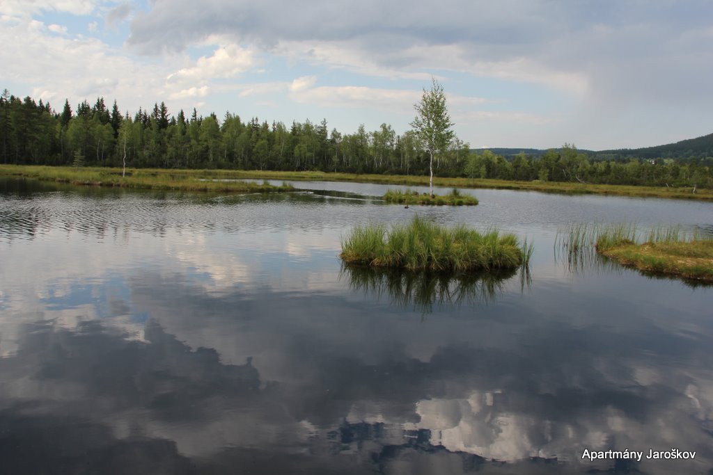 Apartmány - Šumava foto 5