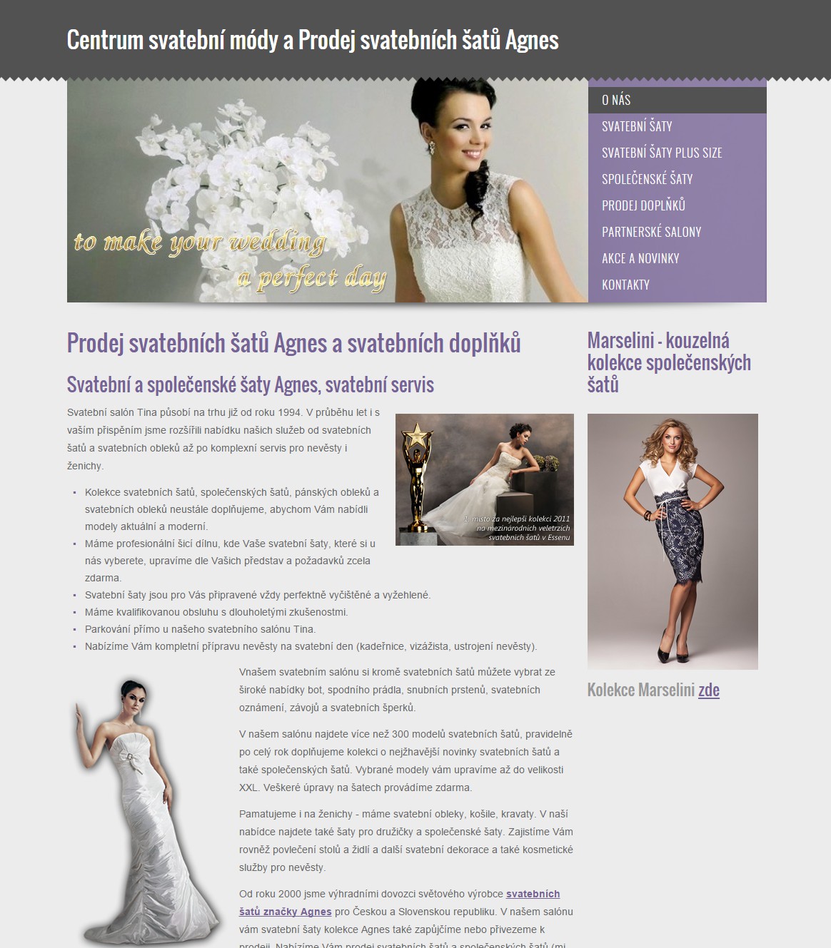 Webmium.cz foto 2