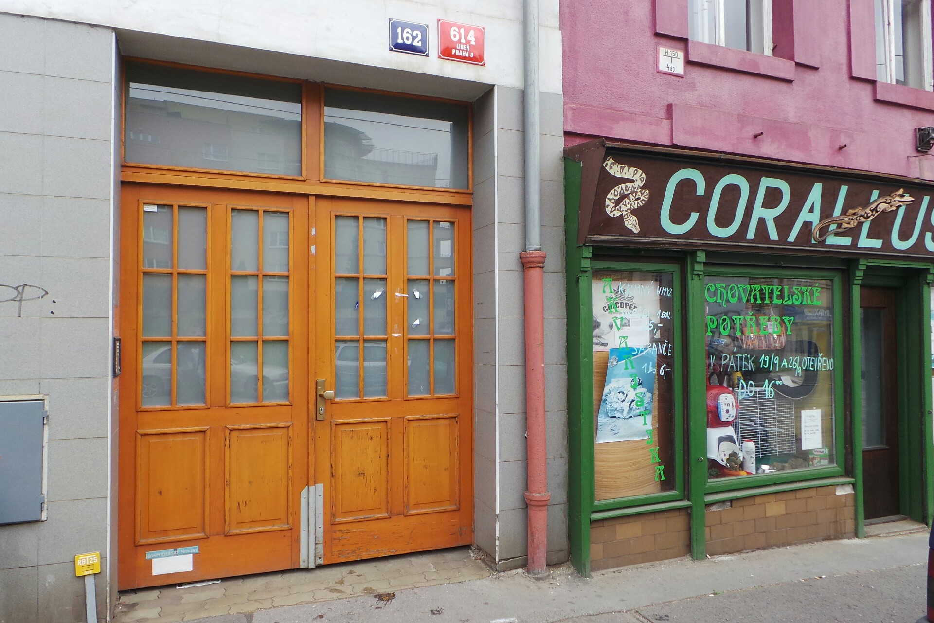 Jan Petráček - IT Consult