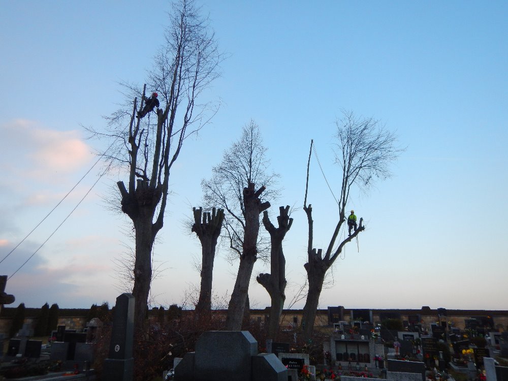 Antonín Přibyl foto 3