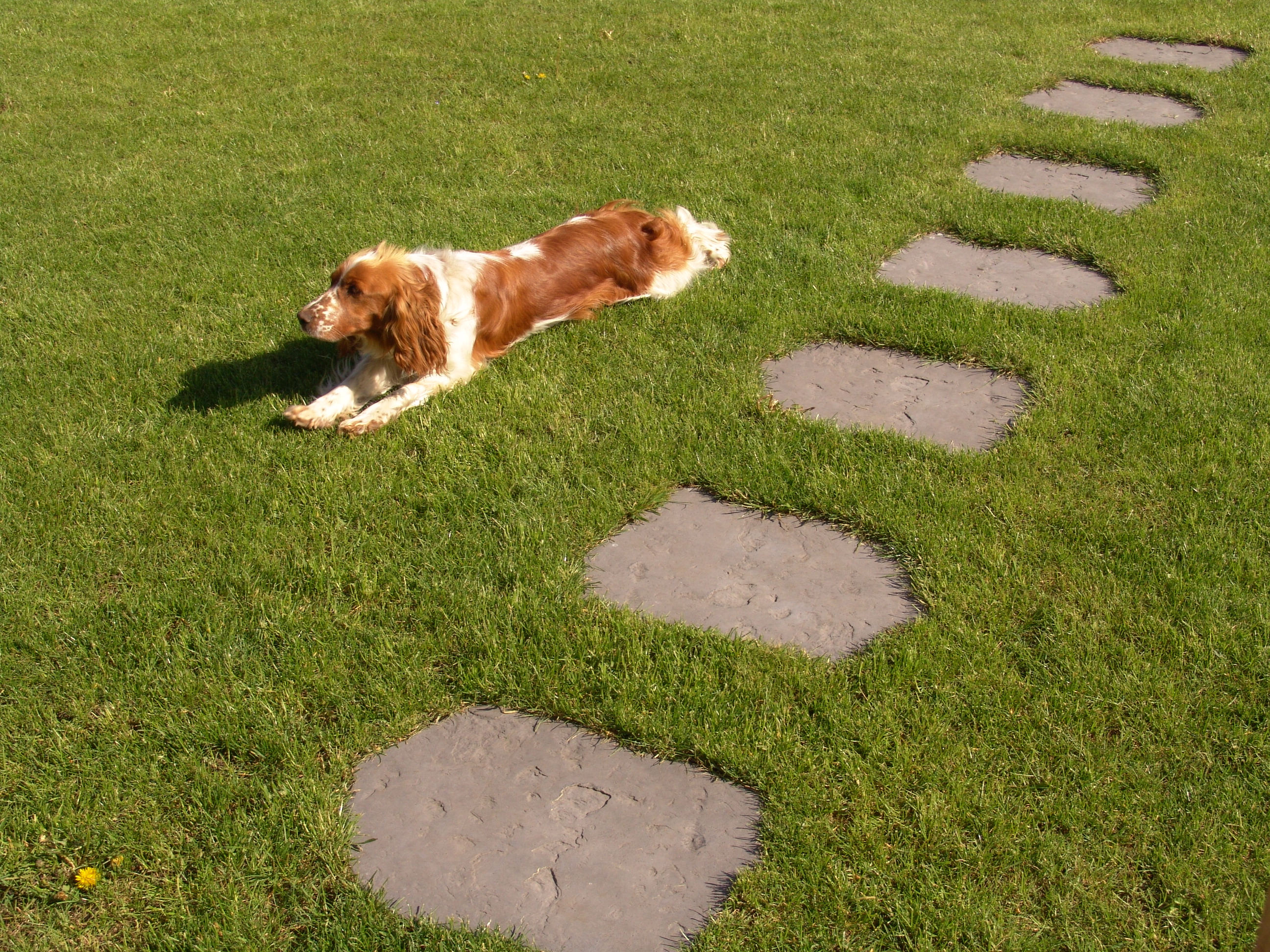 PRESBETON Nova, s.r.o.