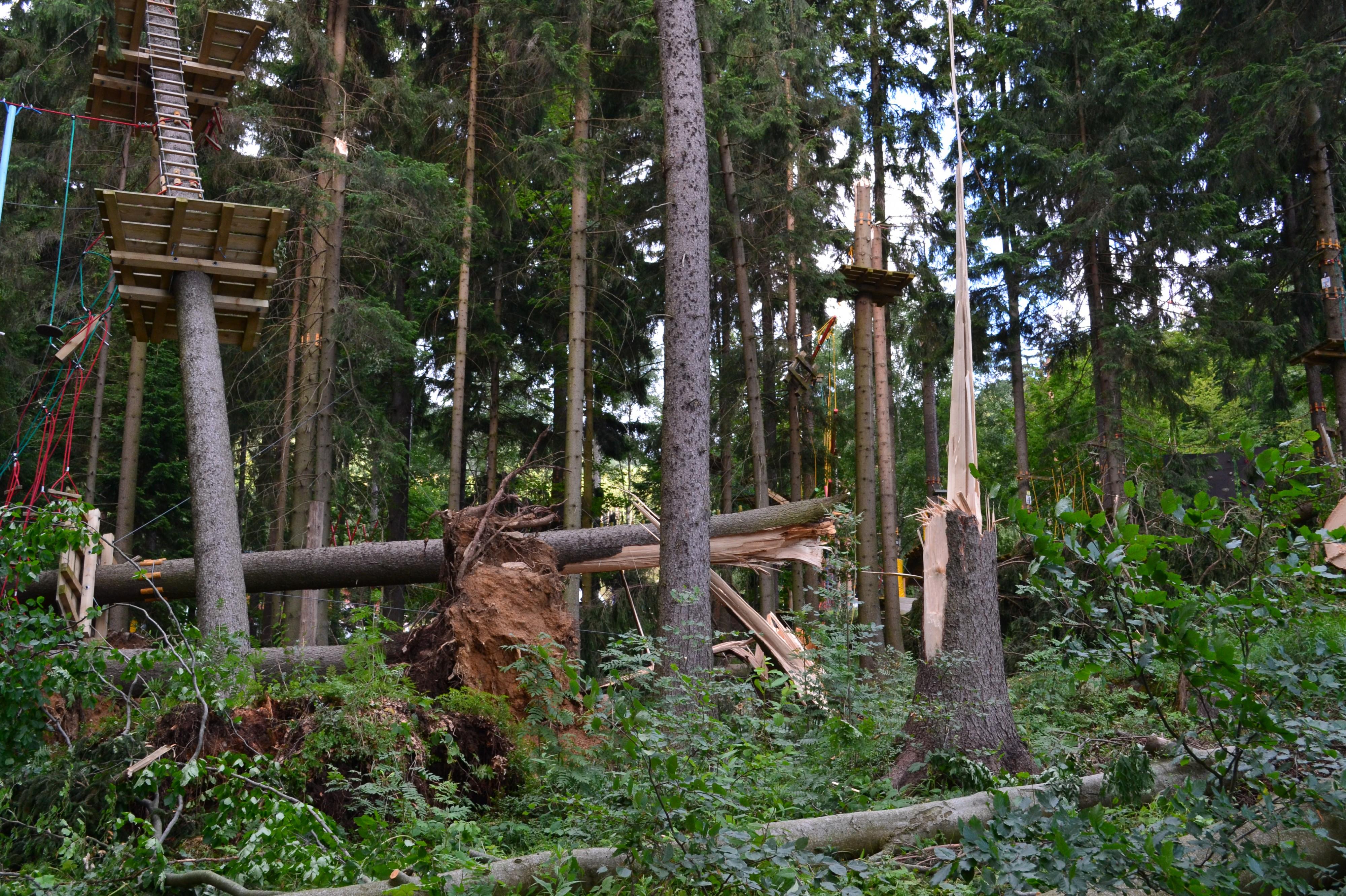 Lesnické práce Miroslav Zelinka
