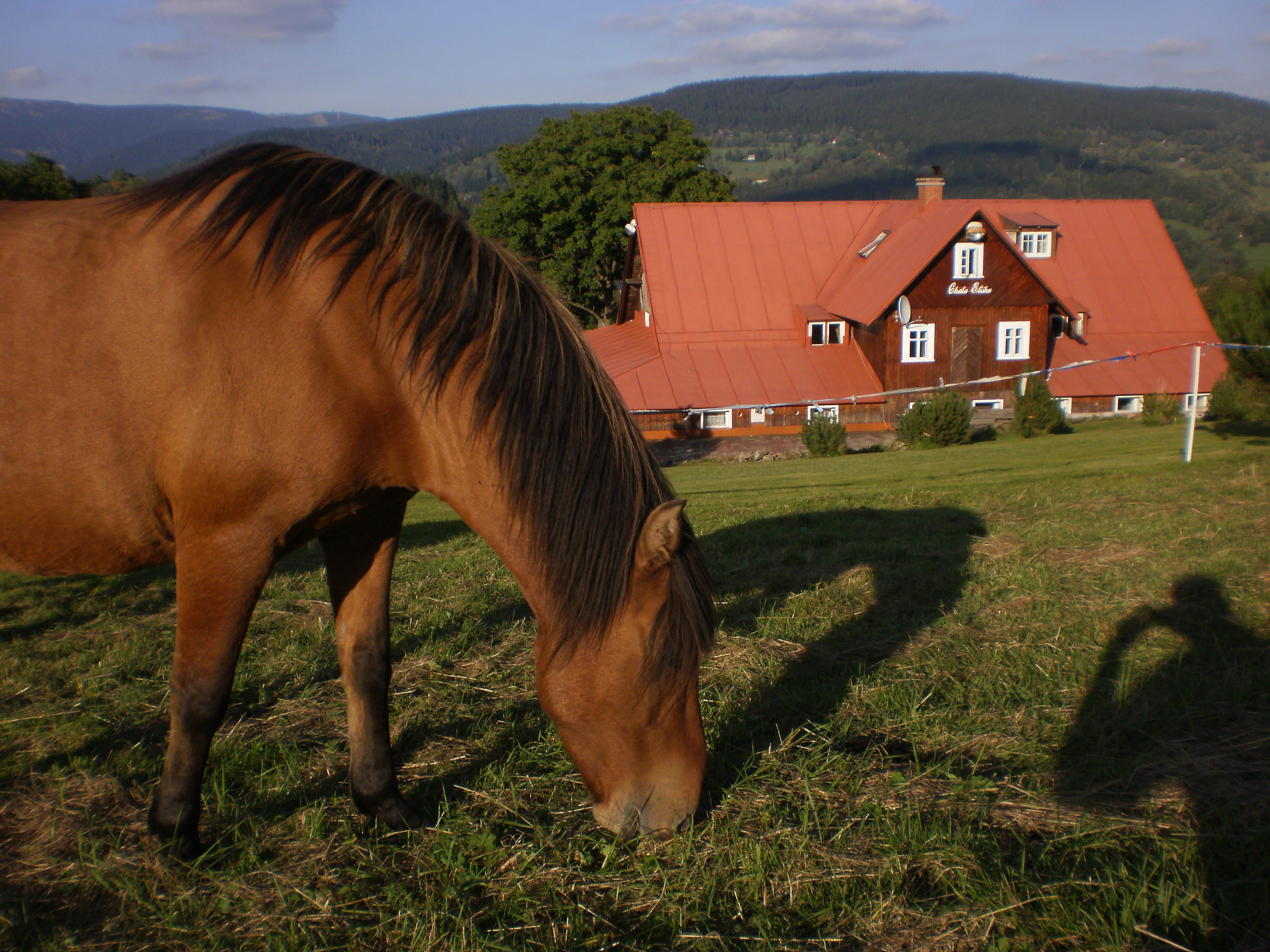 Chata Eliška foto 3