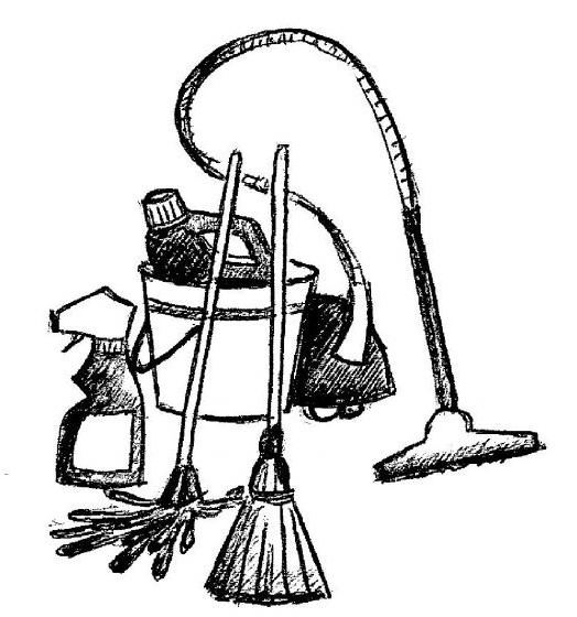 Ing. Viera Semková - úklidové služby Maják foto 2