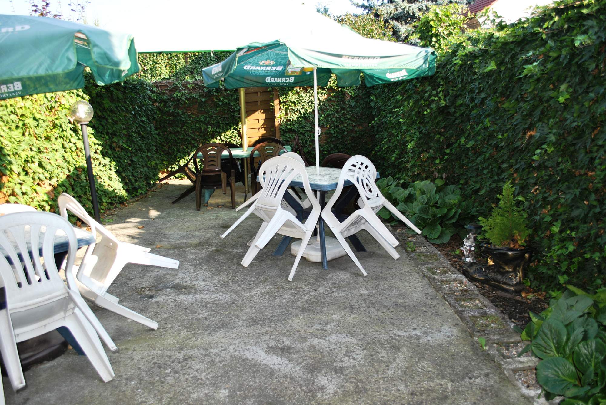 Restaurace U Lojzy foto 4