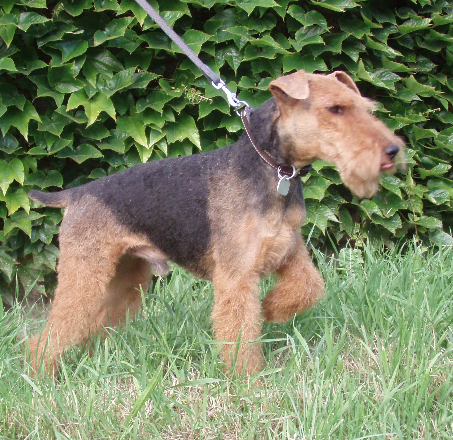 Salón Lady Barnett´s foto 4