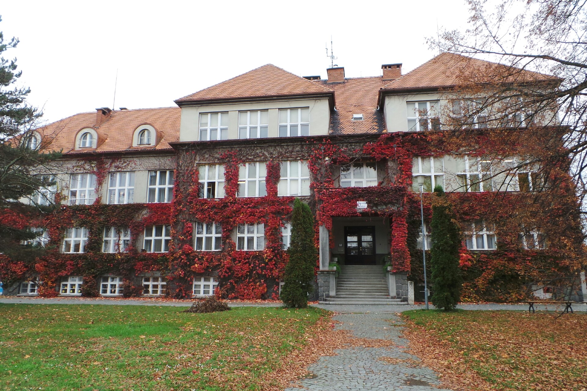 Masarykova ZŠ Dolní Roveň