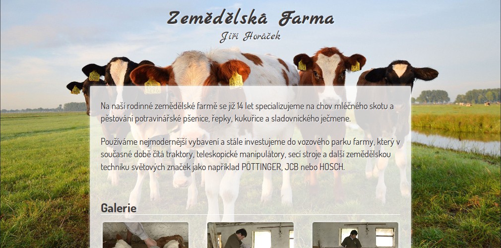 Lukáš Svadbík foto 3