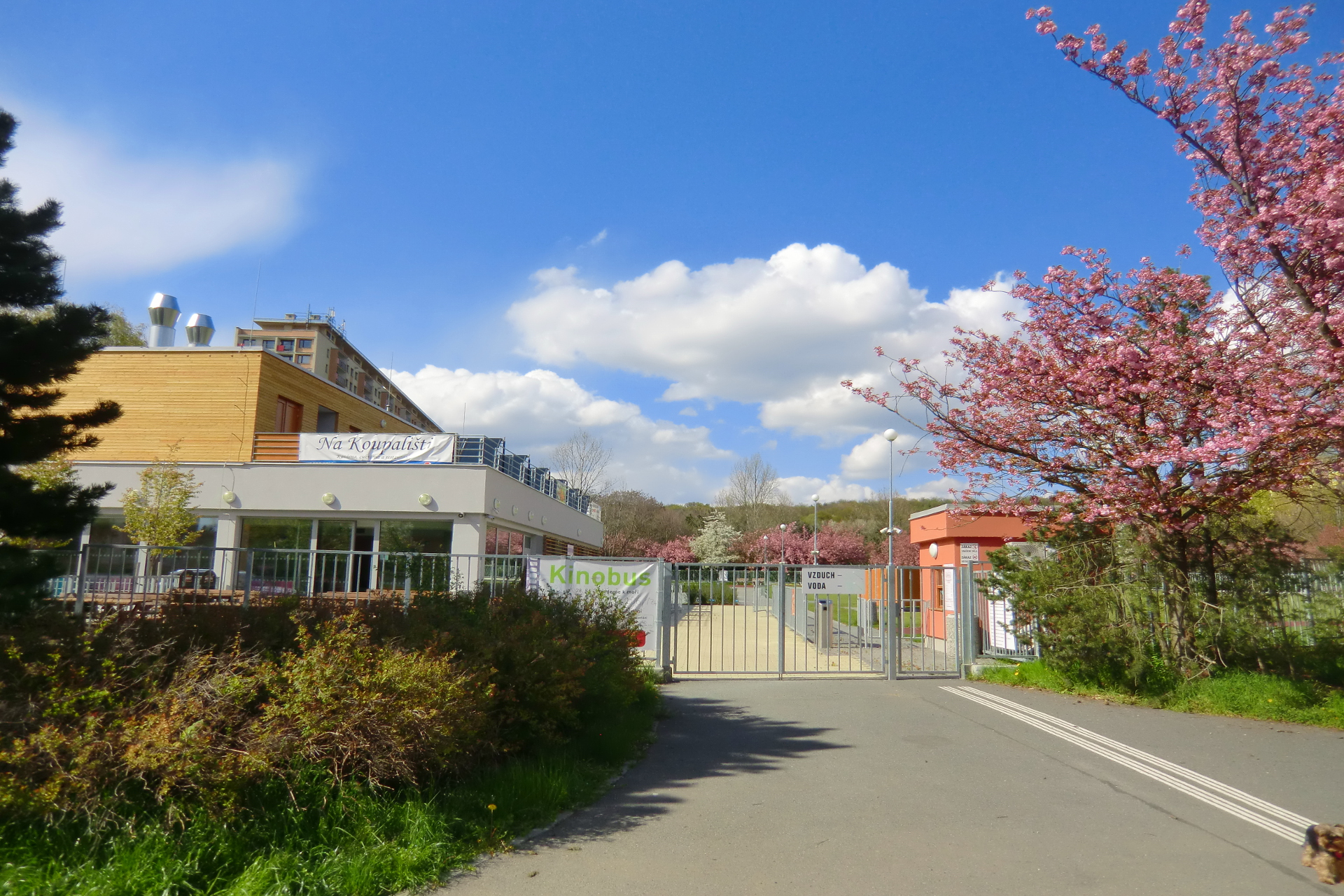 Koupaliště Ládví foto 2