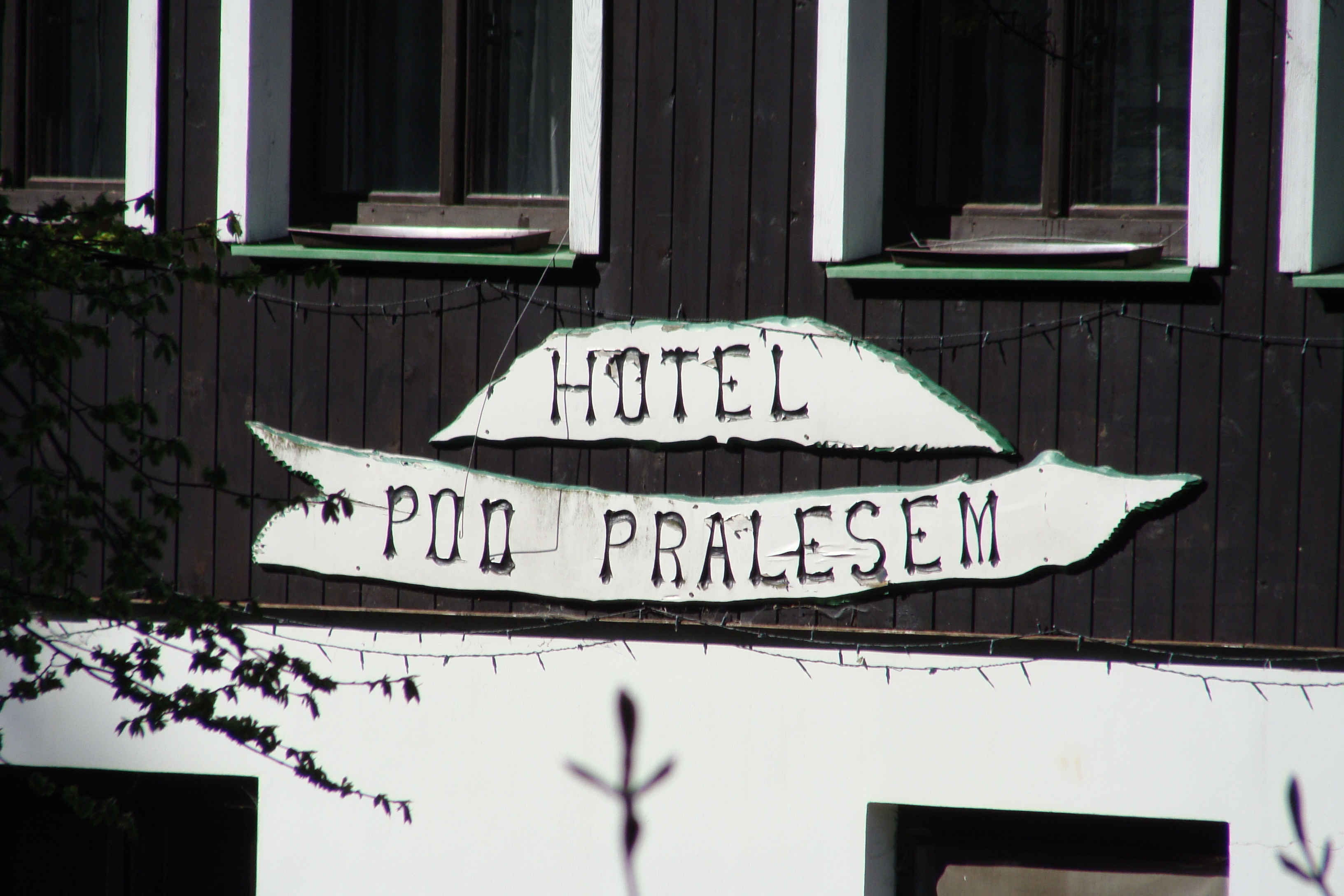 Hotel pod Pralesem foto 2