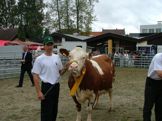 Farma u Drhovských foto 3