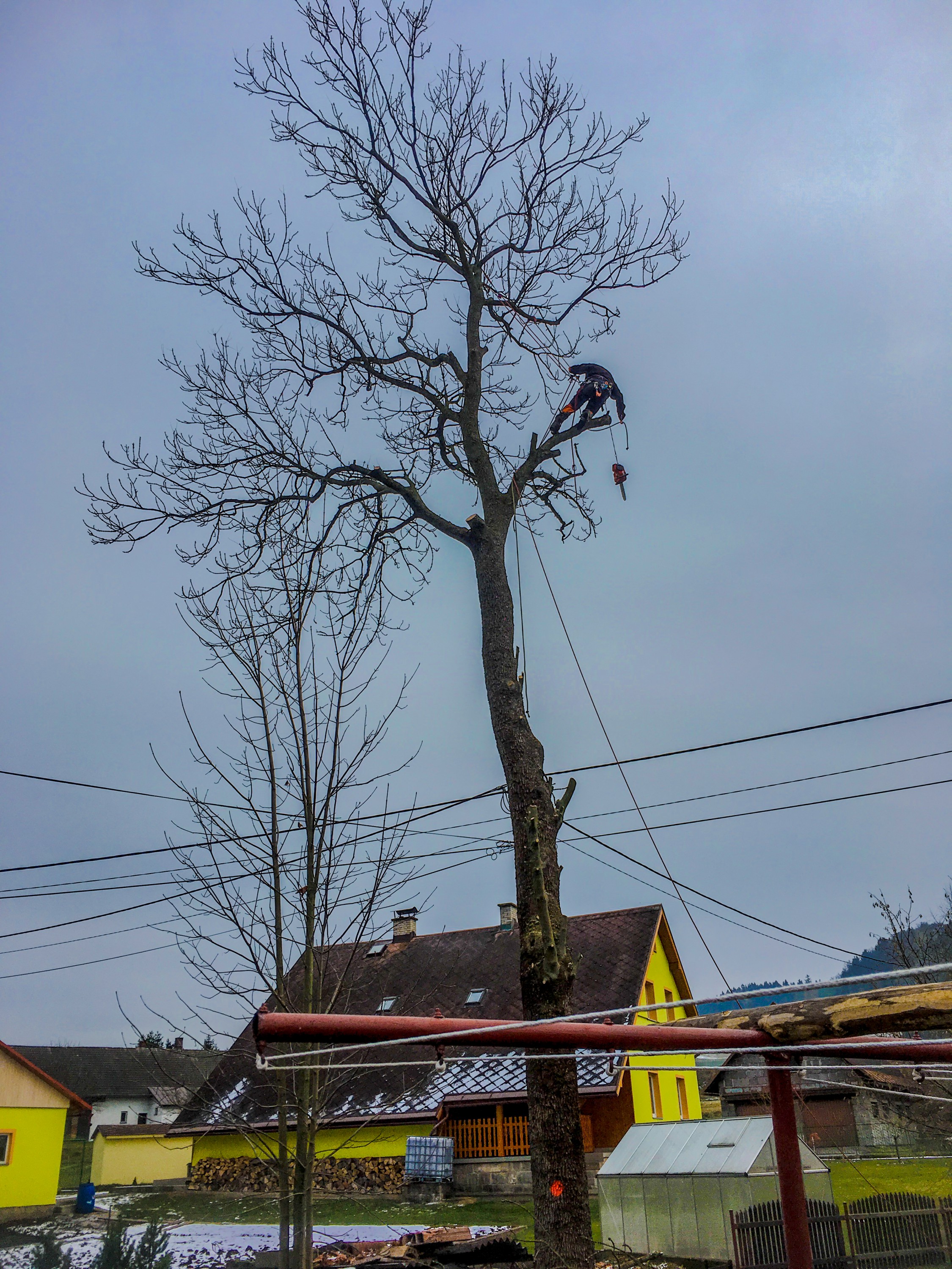 Kácení bez rizik - Rizikové kácení stromů foto 3
