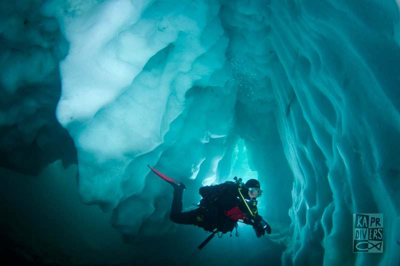 Kapr Divers foto 2