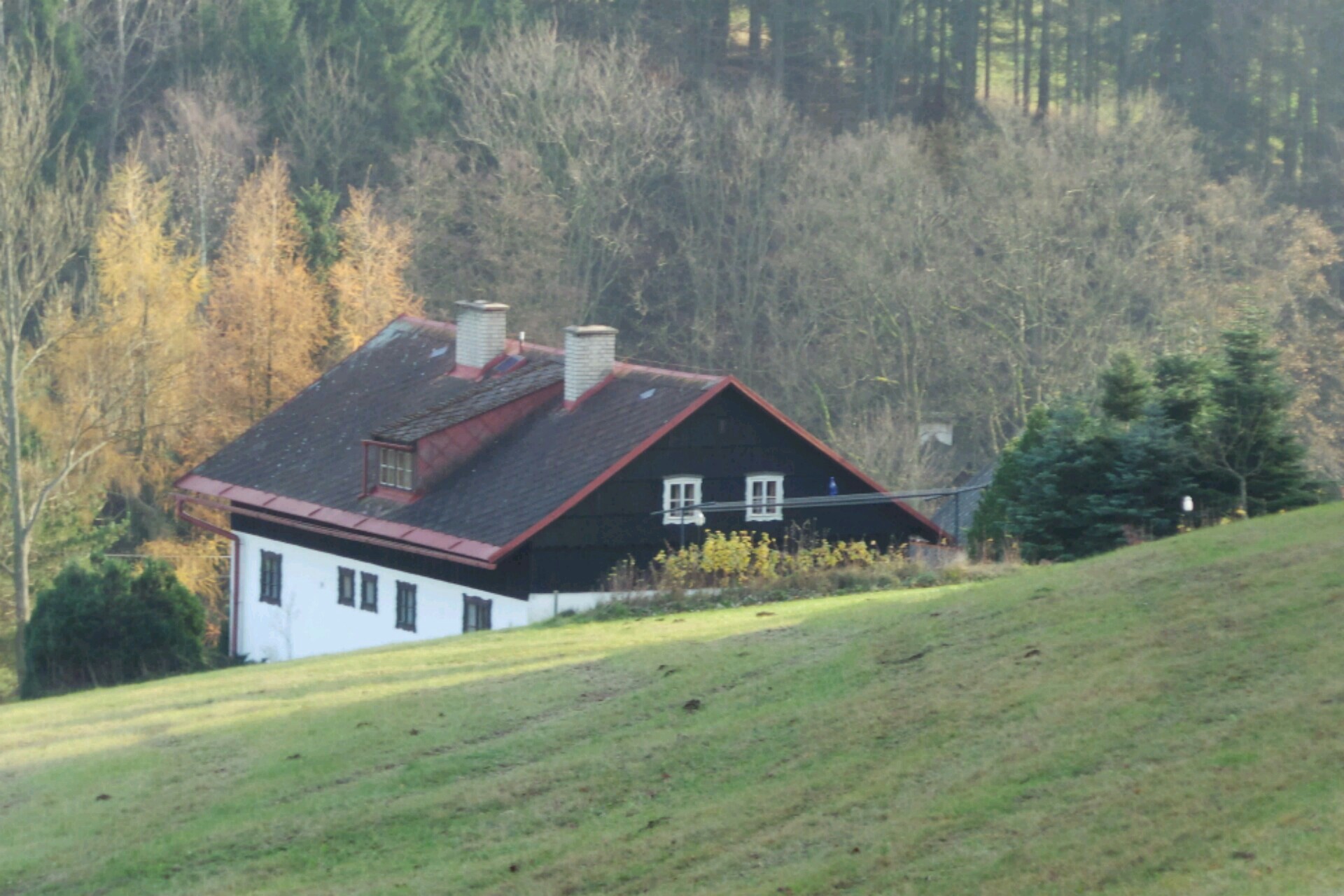 Michaela Páchová, DiS.