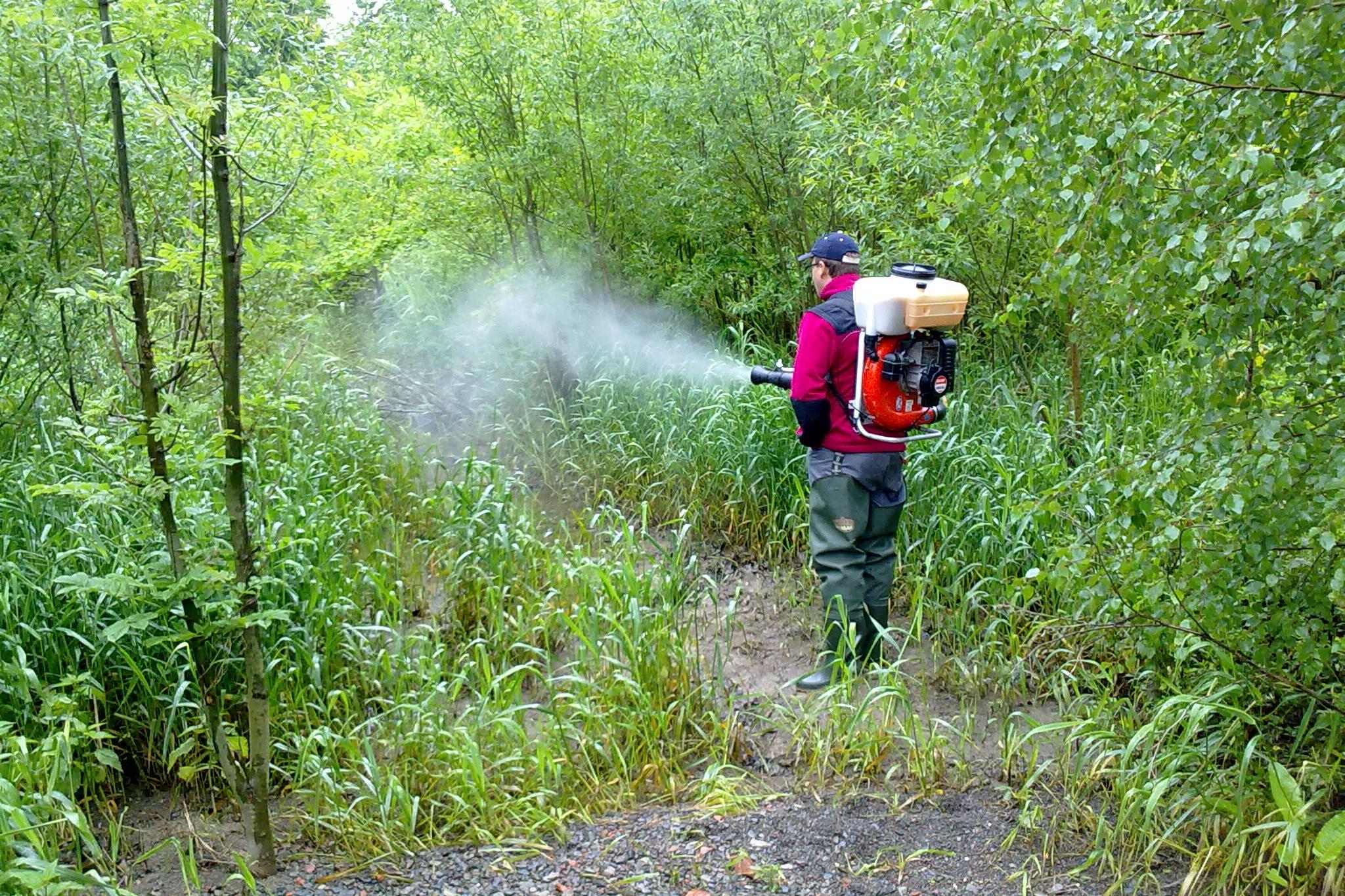 DERKILL SERVICES, s.r.o.