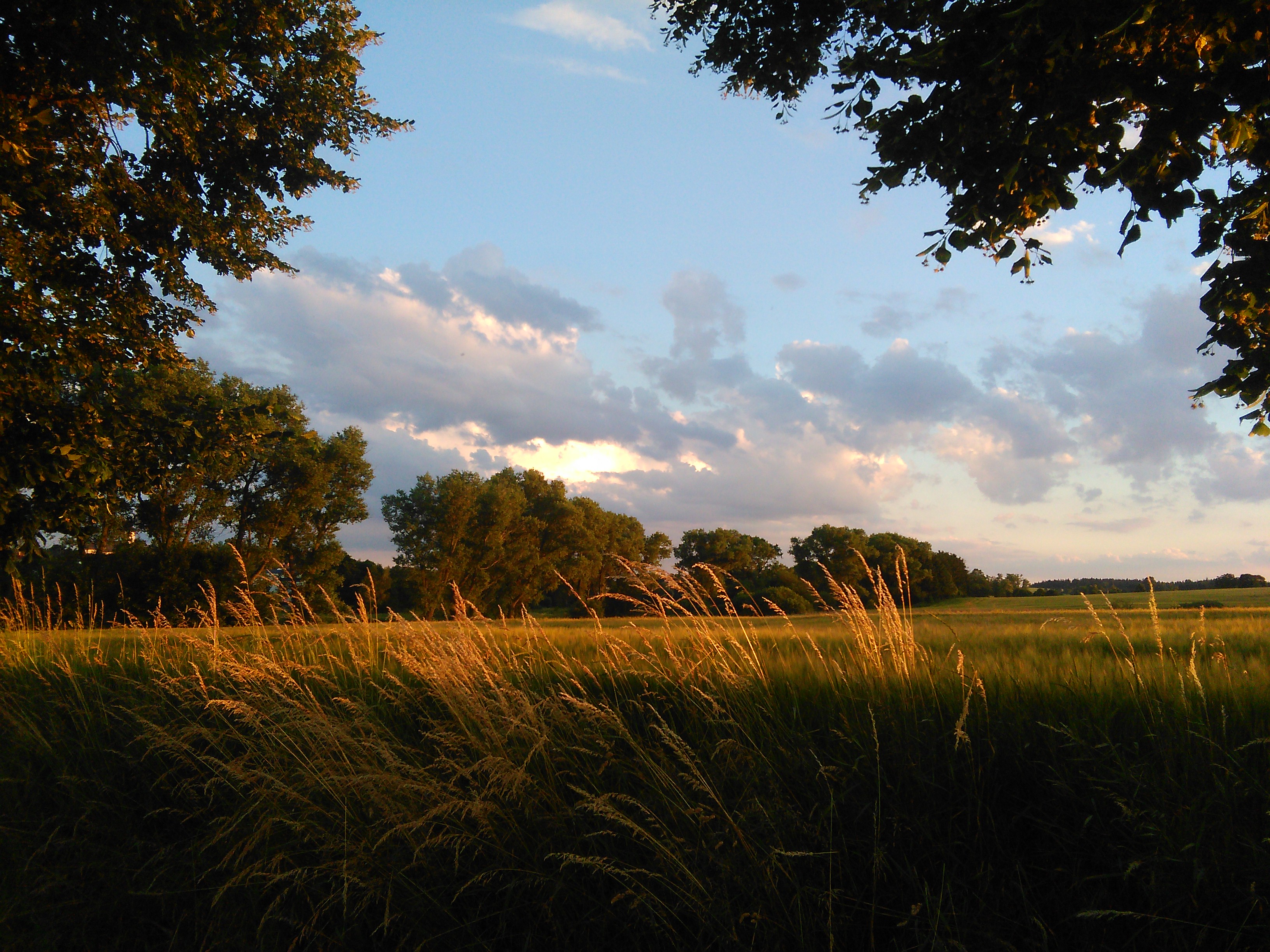 Český rybářský svaz, místní organizace Žirovnice foto 2