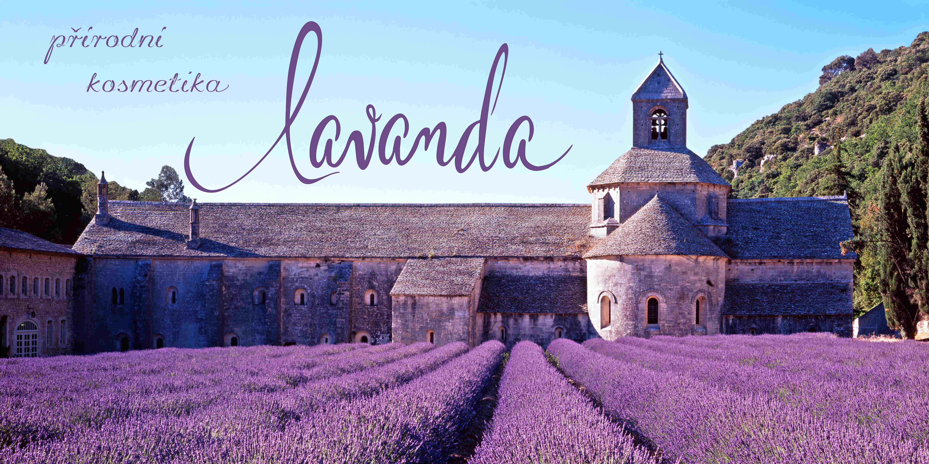 Lavanda foto 3